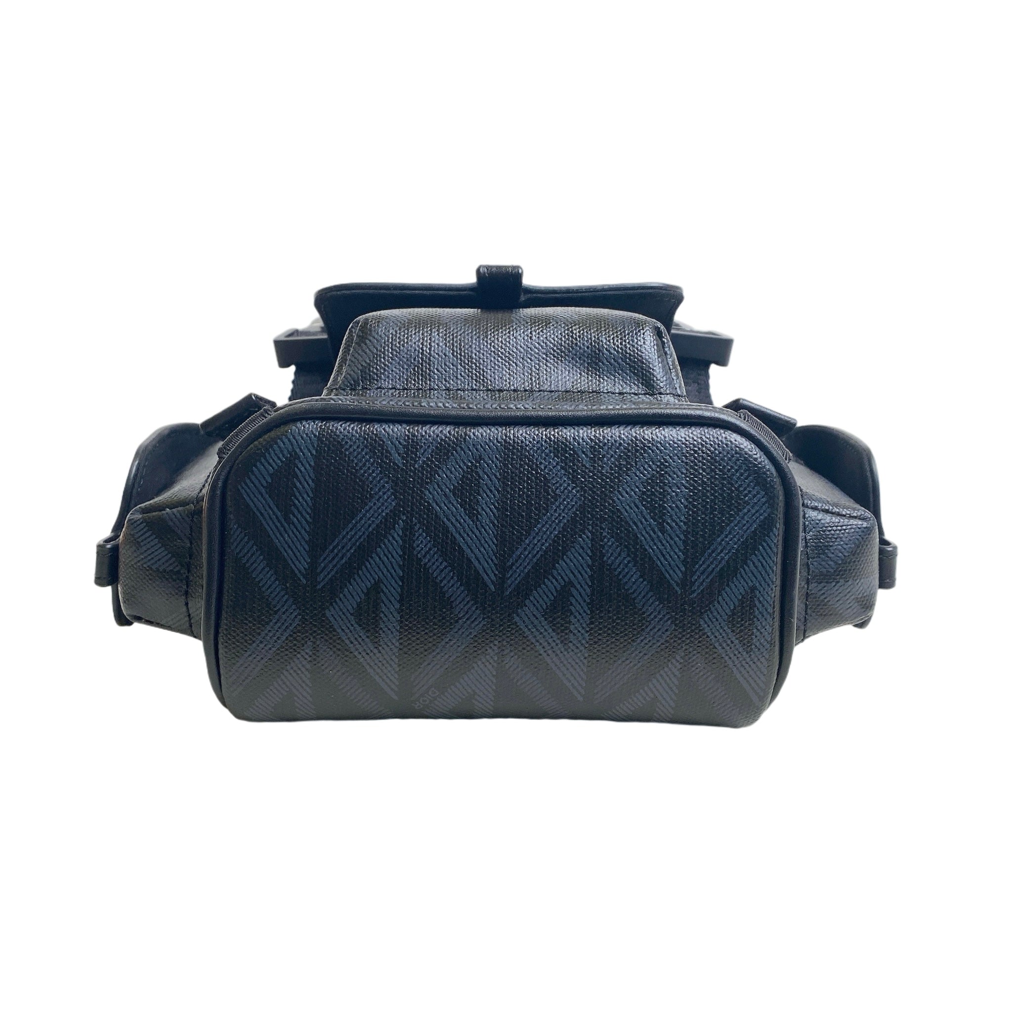 DIOR HIT THE ROAD MINI