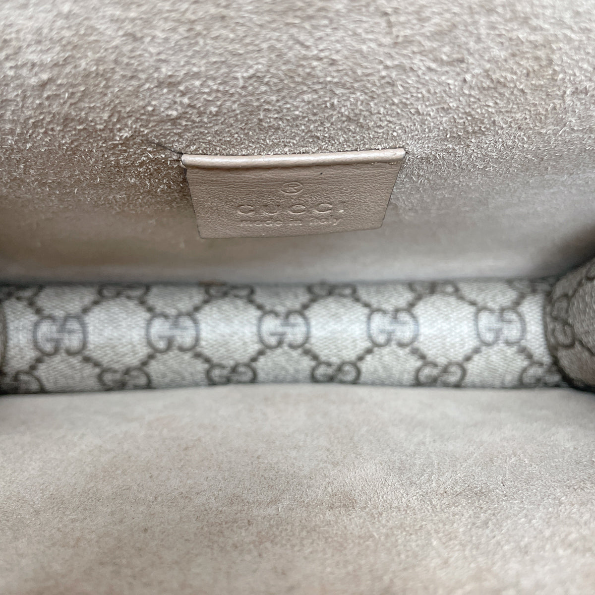 GUCCI DIONYSUS MINI