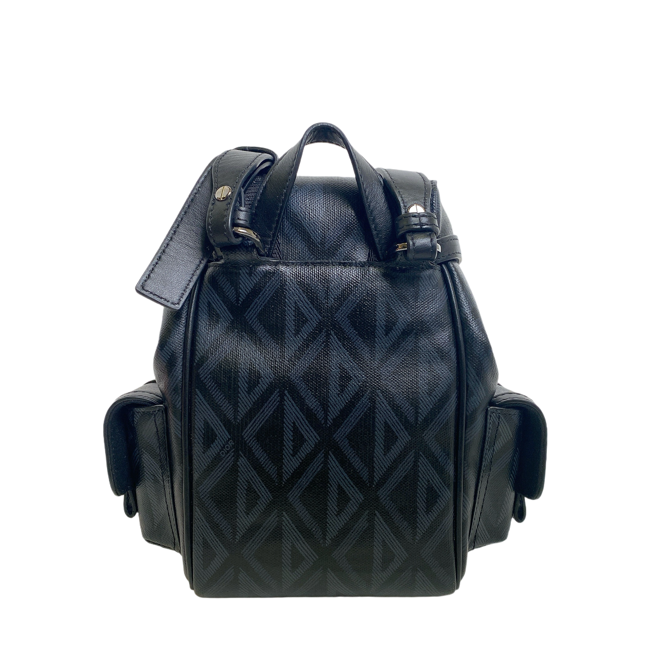 DIOR HIT THE ROAD MINI