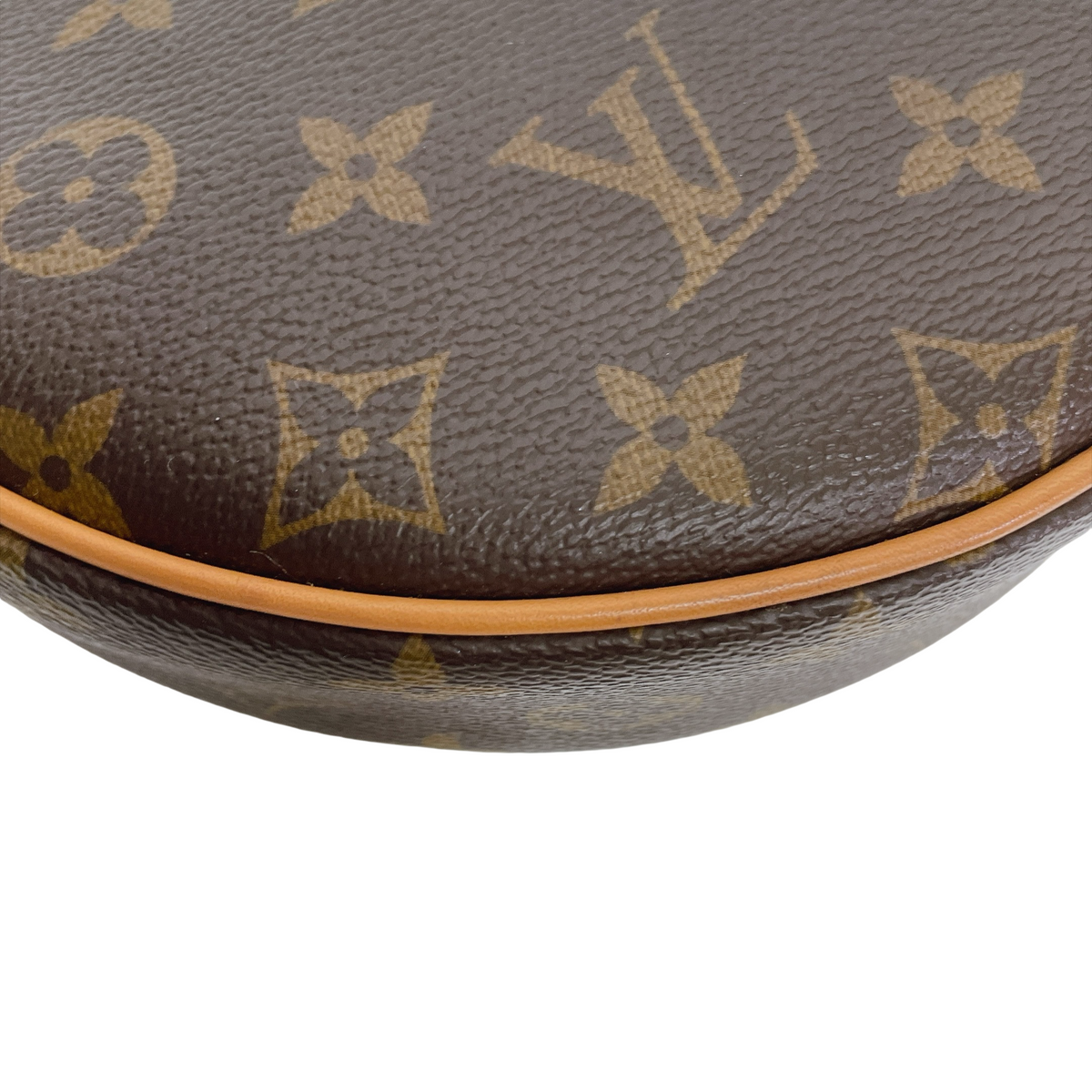 LV LOOP BAG