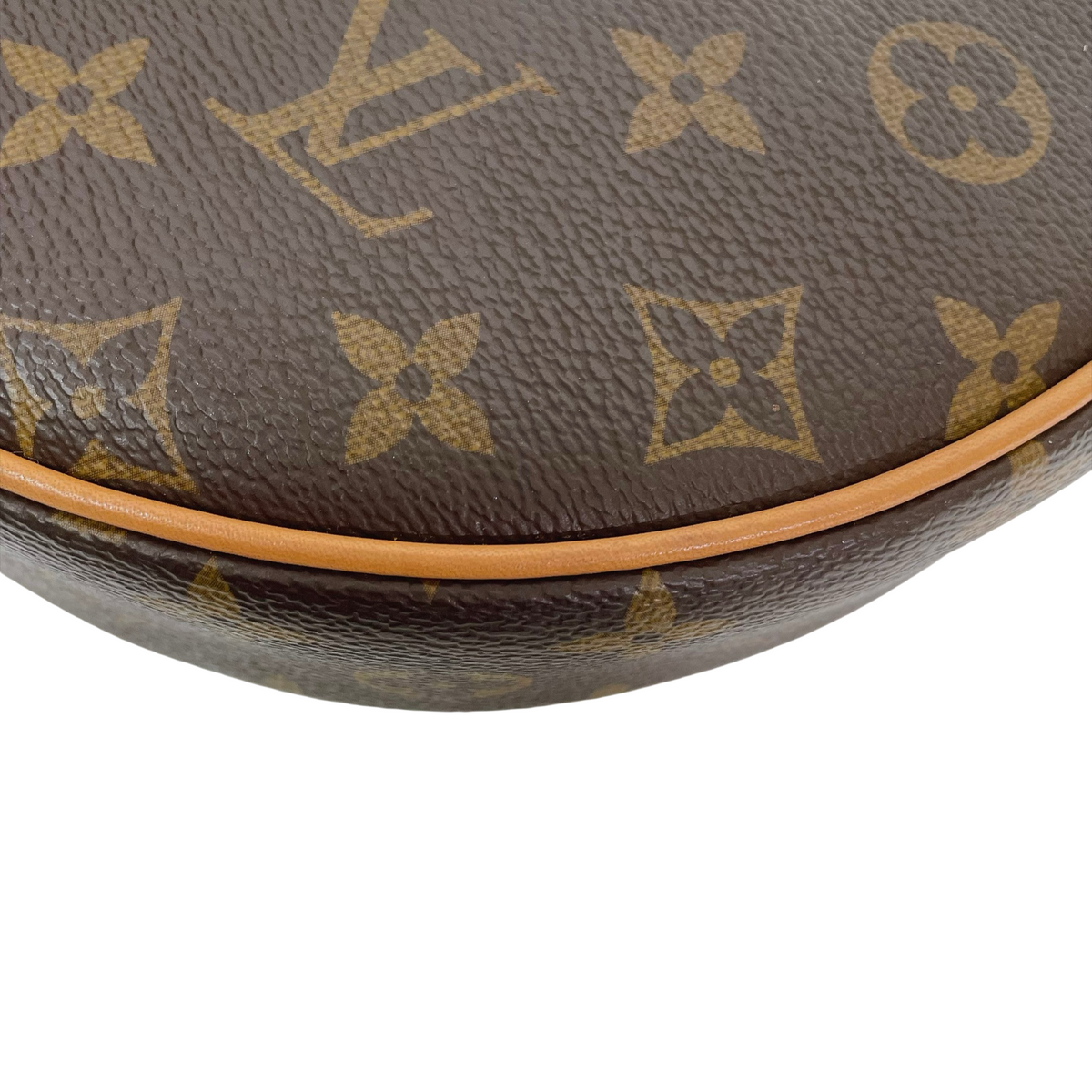 LV LOOP BAG