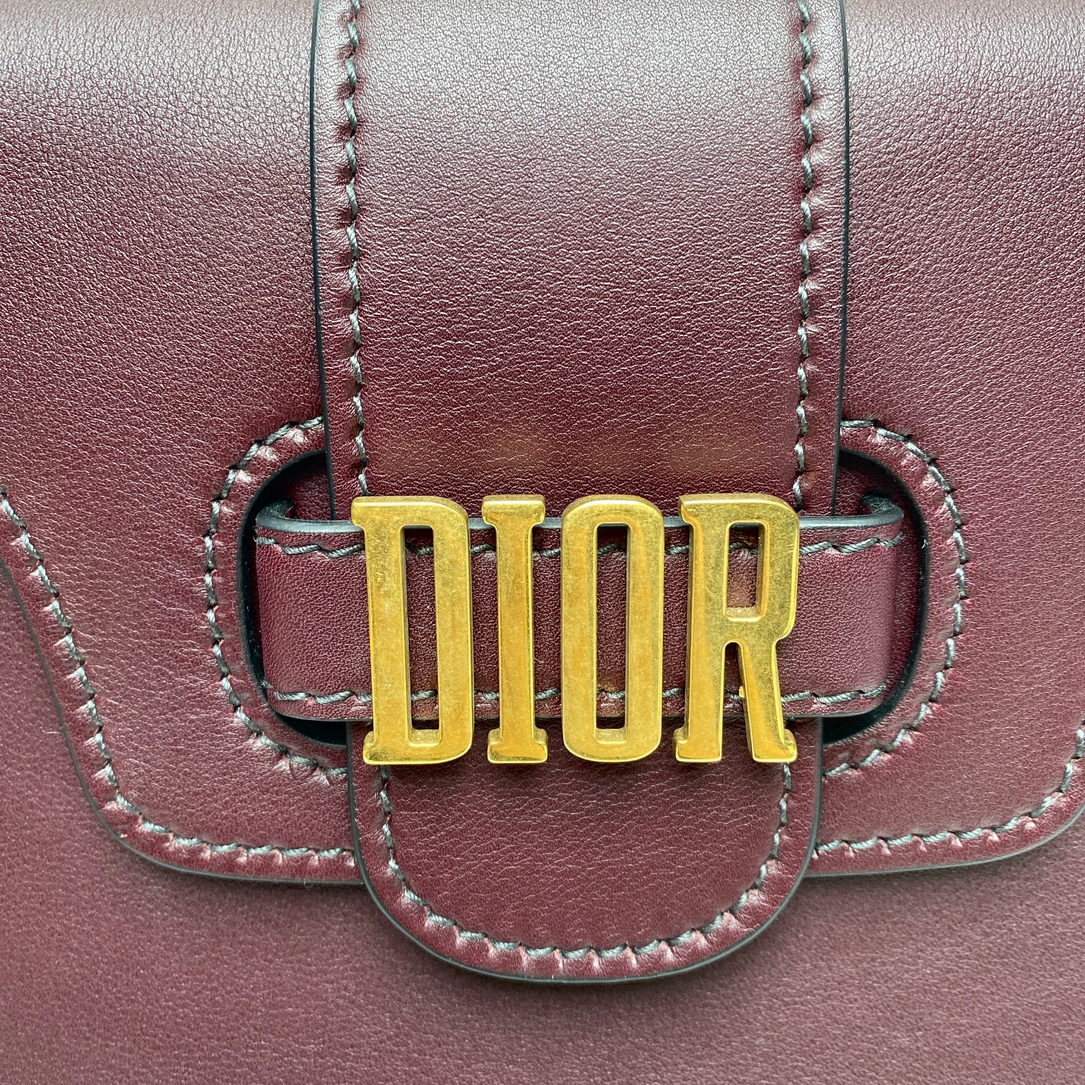 Dior D Fence Saddle Bag