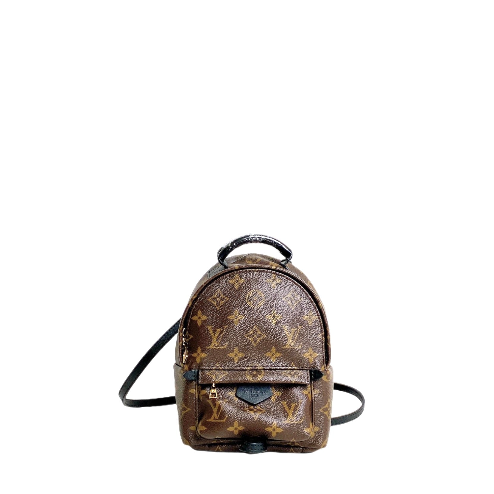 LV MINI PALM SPRINGS
