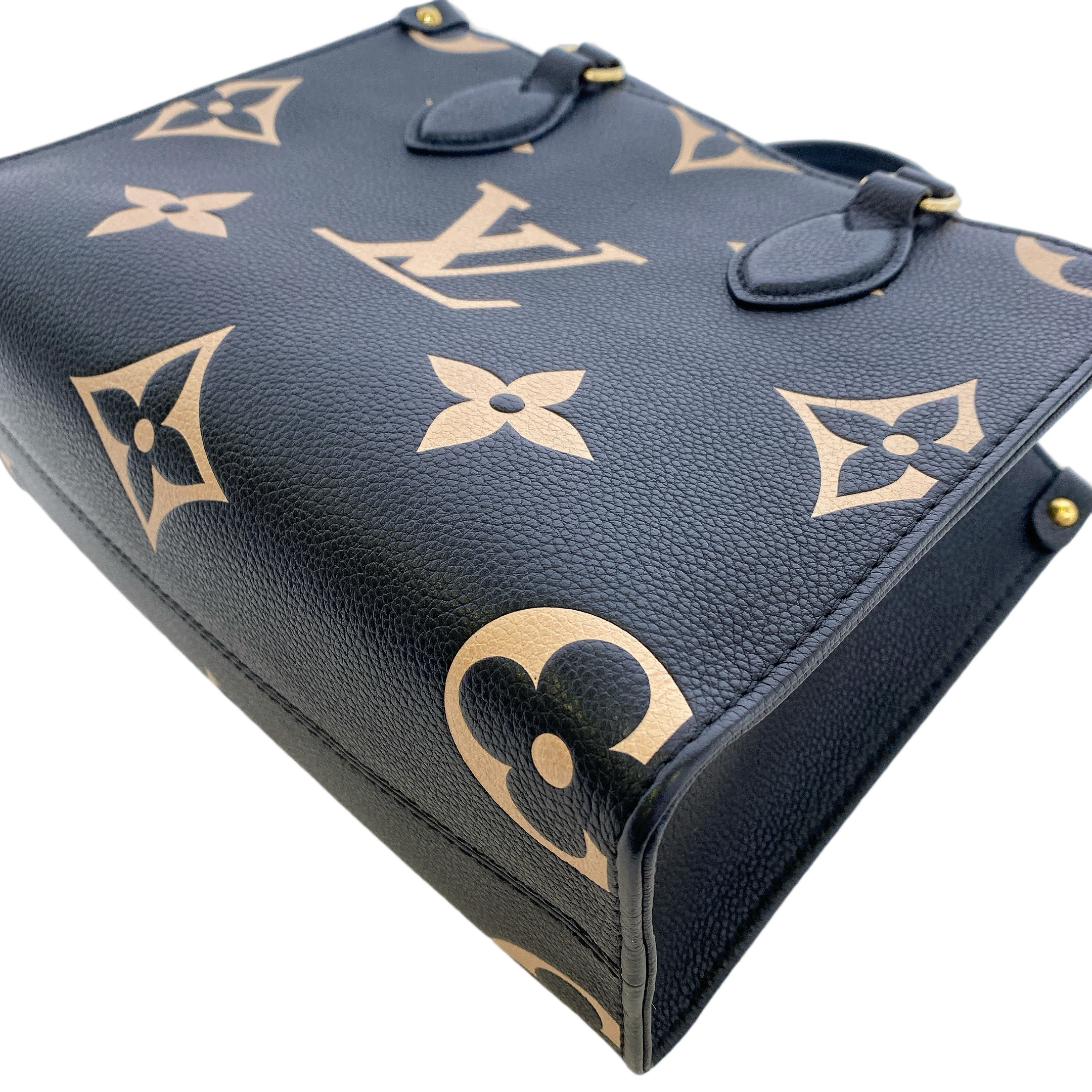 LV ONTHEGO PM BICOLOR