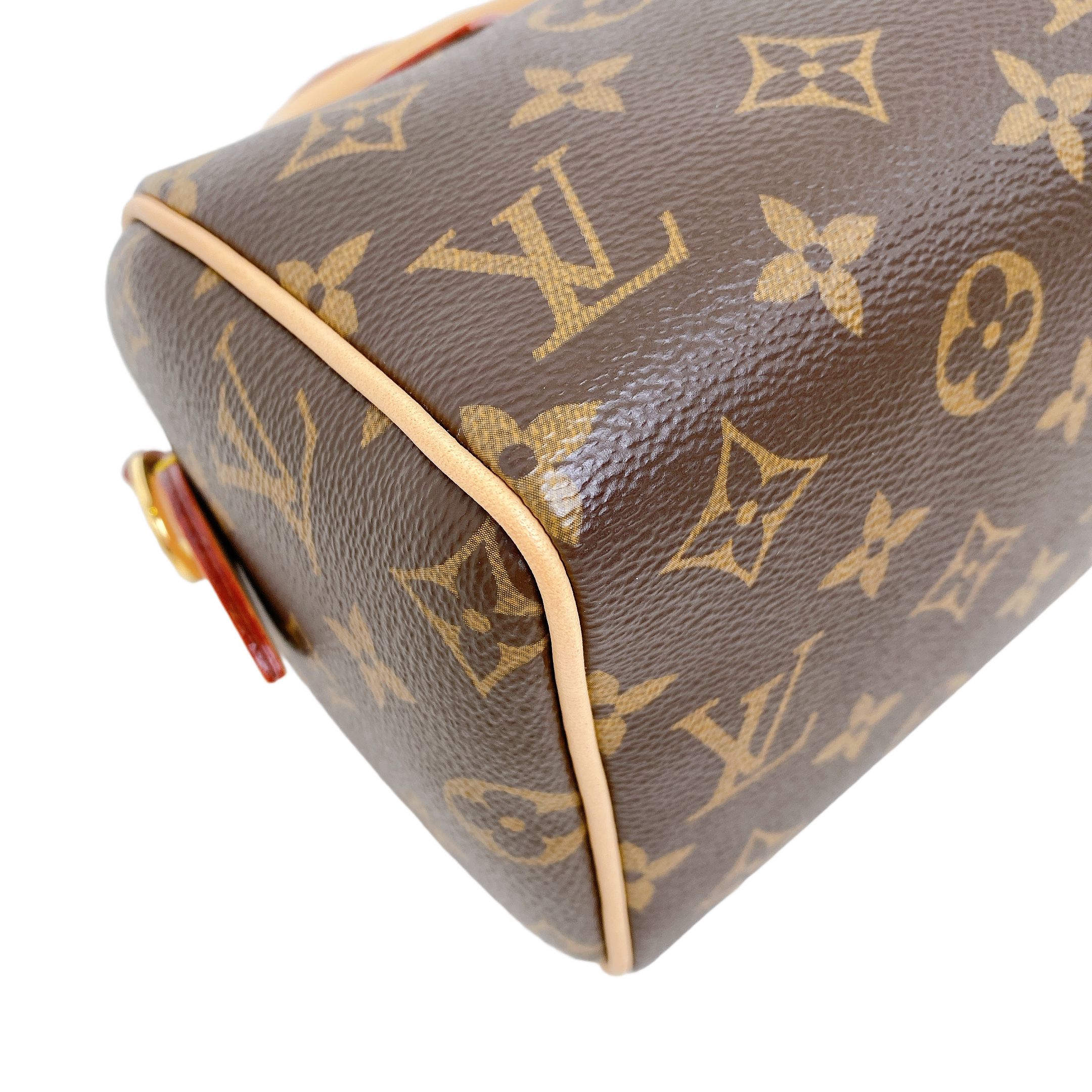 LV SPEEDY B20 MONOGRAM