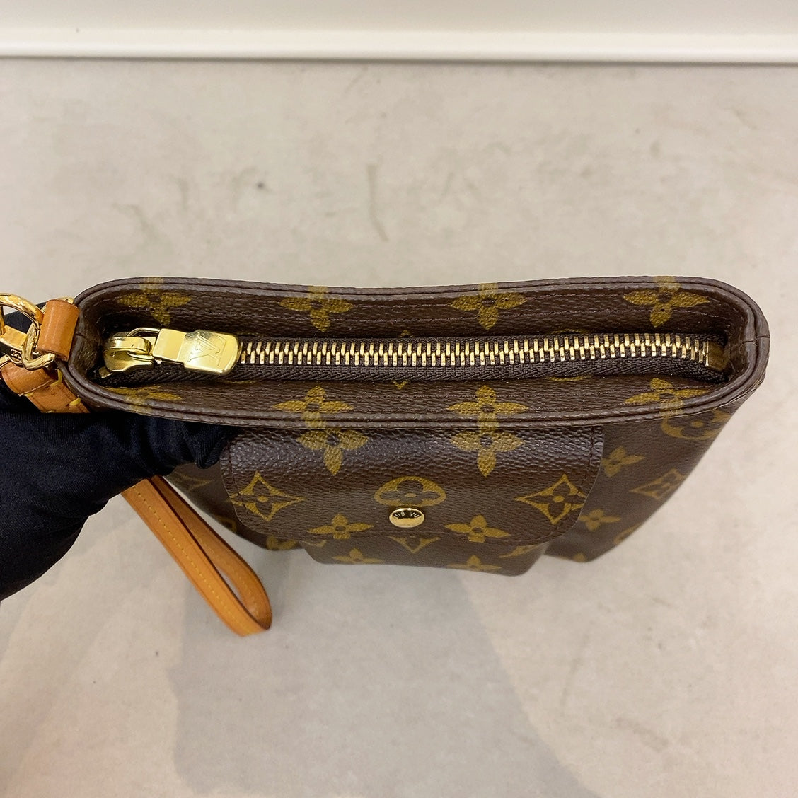 LV Monogram Partition