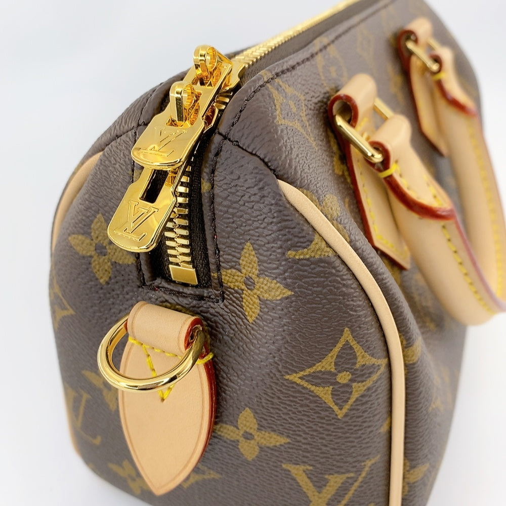 LV Speedy 20 Monogram