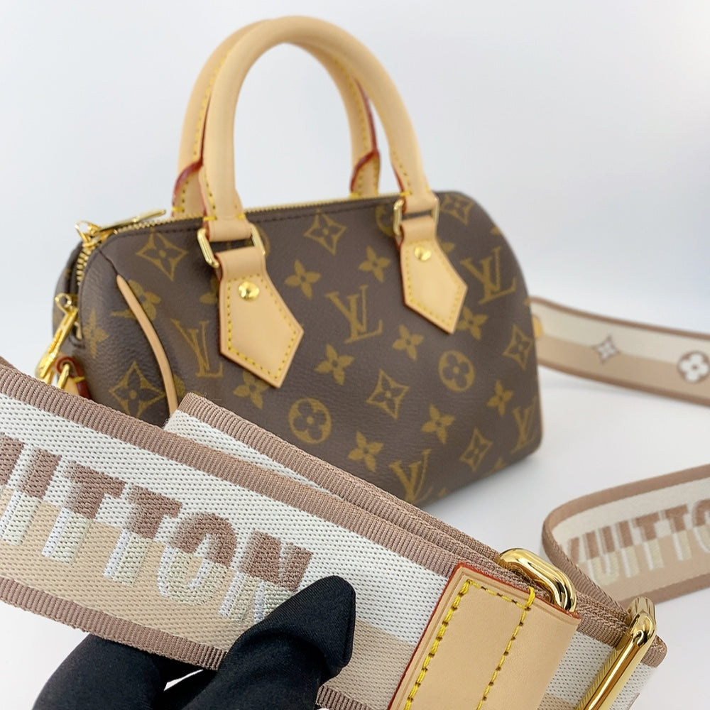 LV Speedy 20 Monogram