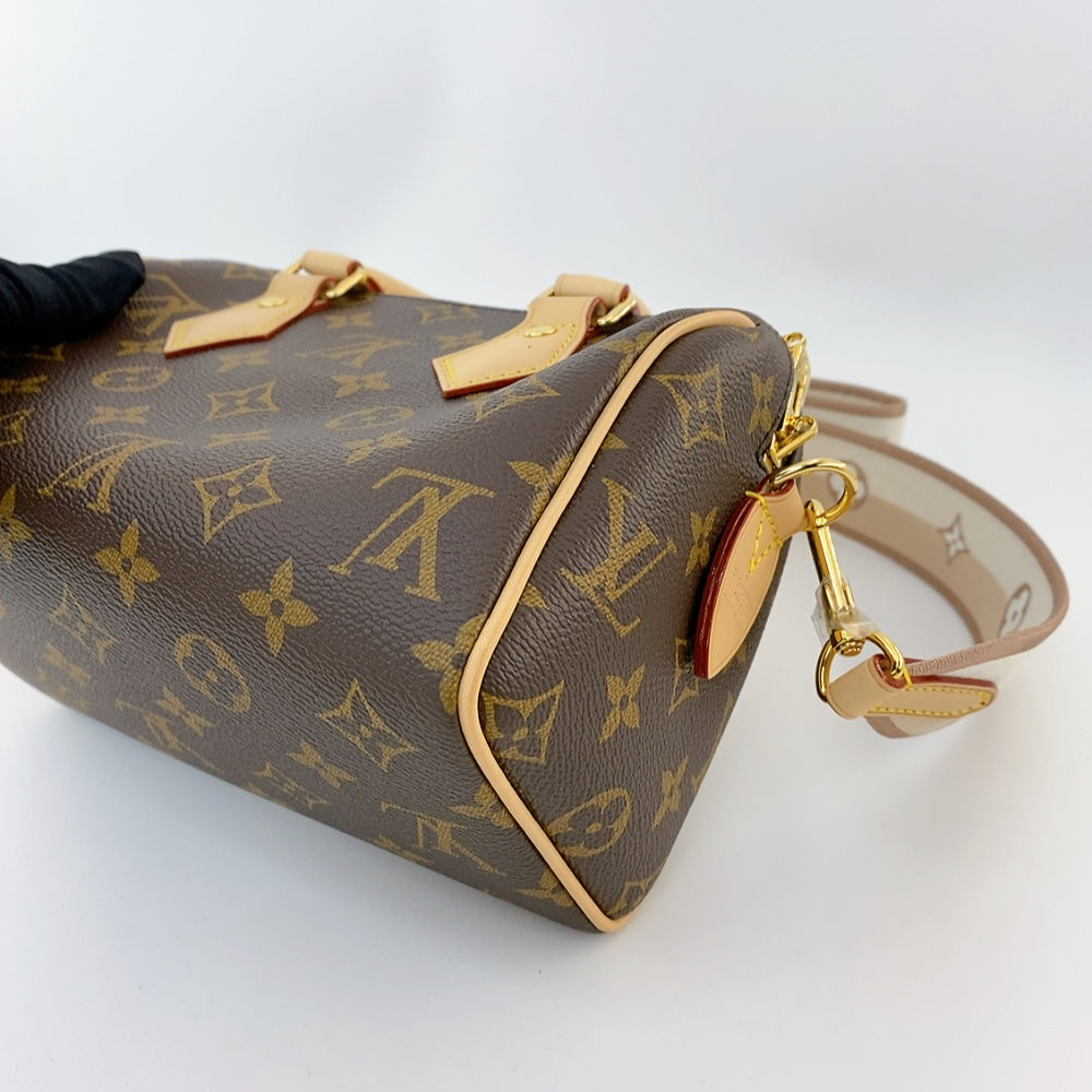 LV Speedy 20 Monogram