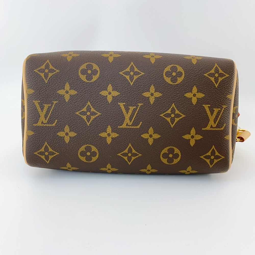 LV Speedy 20 Monogram