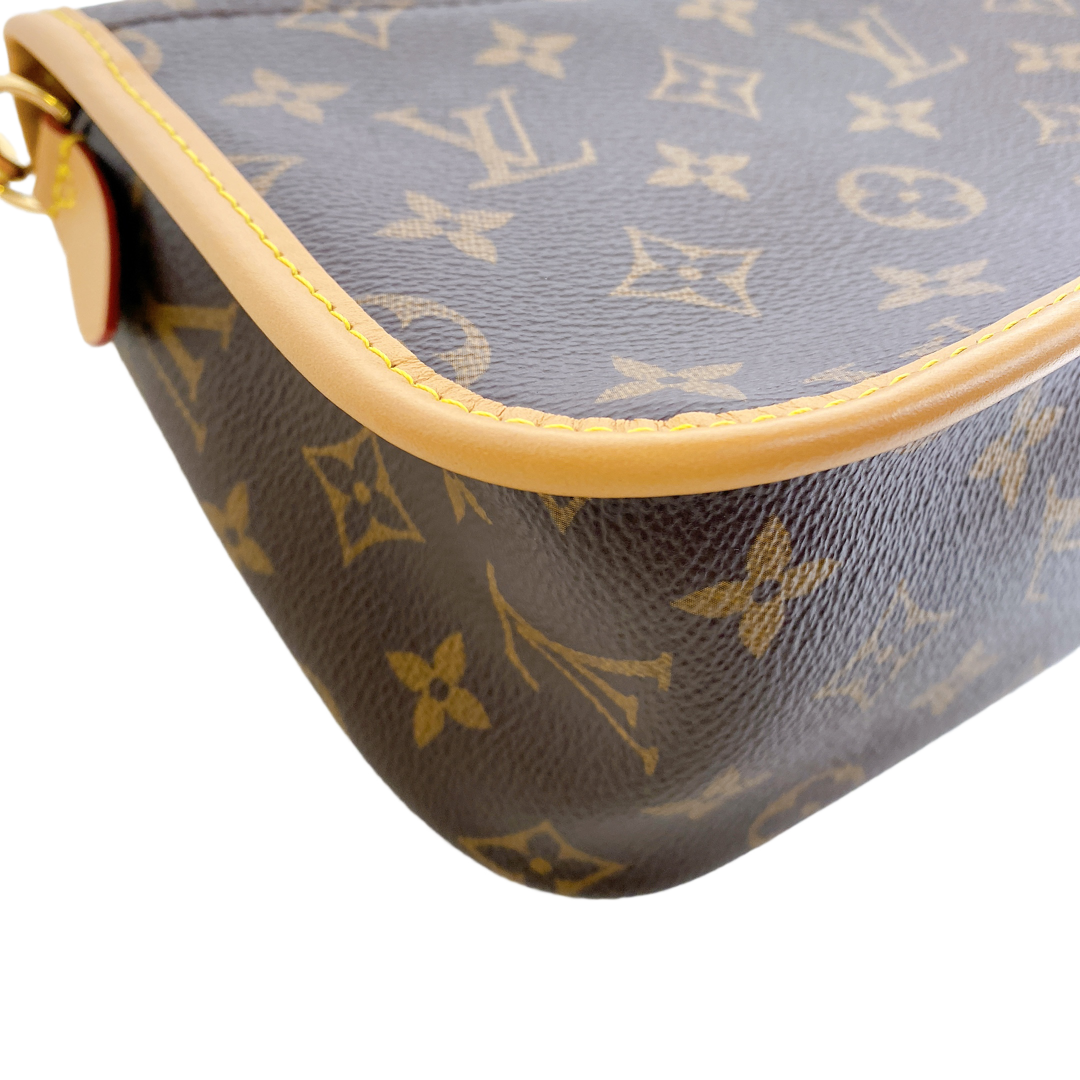 LV MONOGRAM DIANE