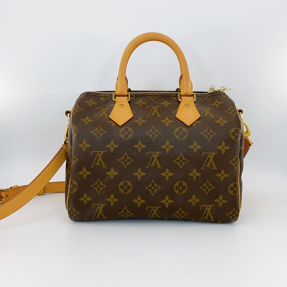 LV Speedy B25 Monogram