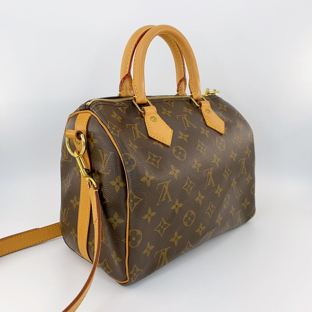 LV Speedy B25 Monogram