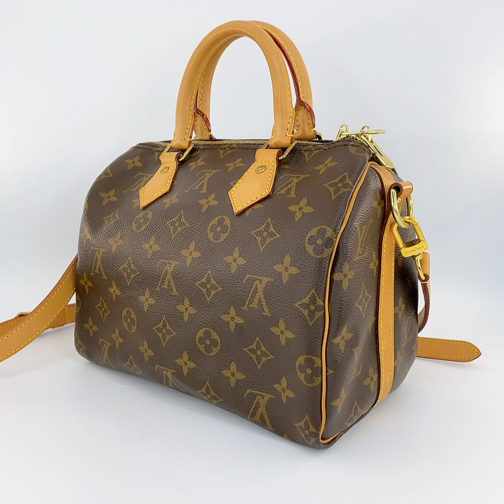 LV Speedy B25 Monogram