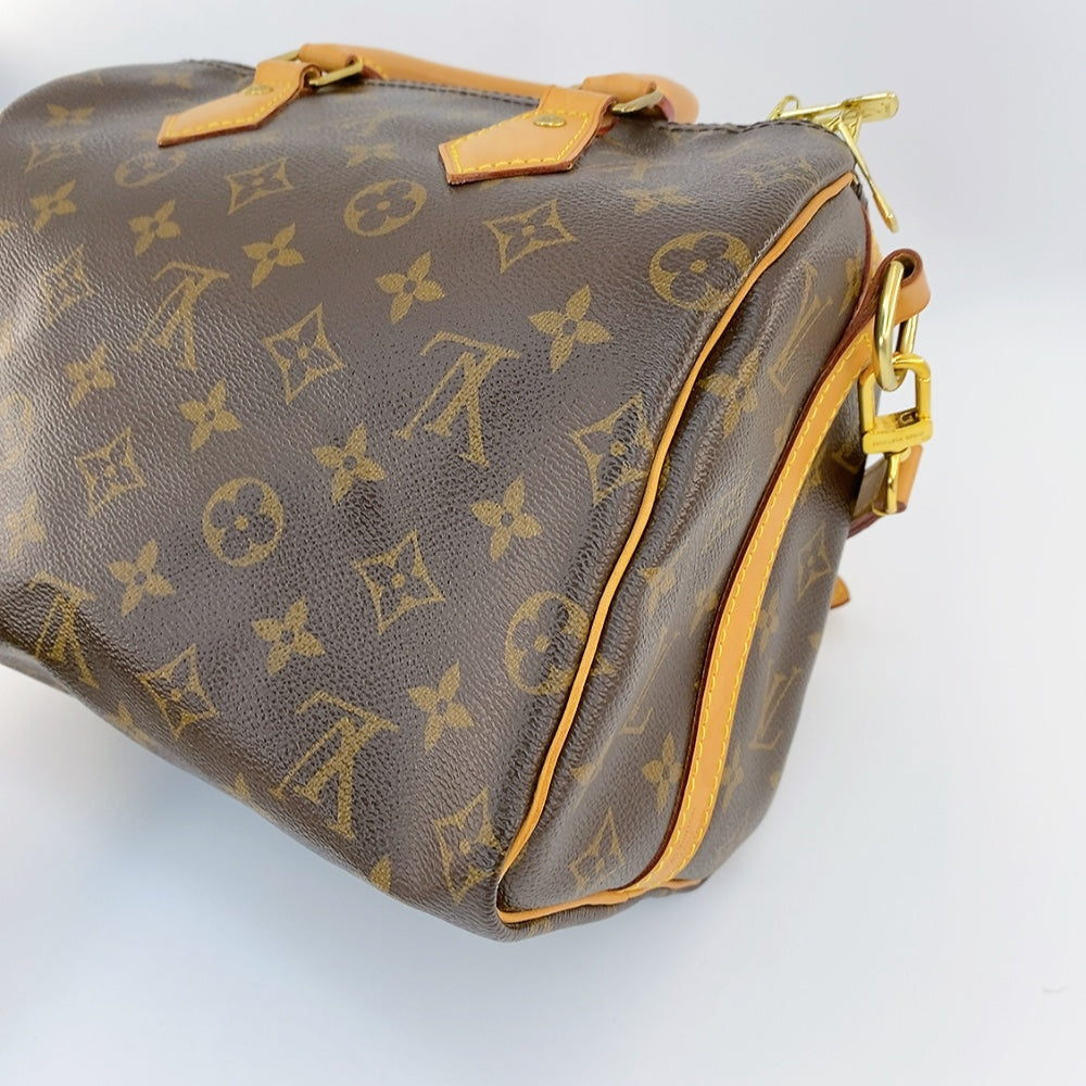 LV Speedy B25 Monogram