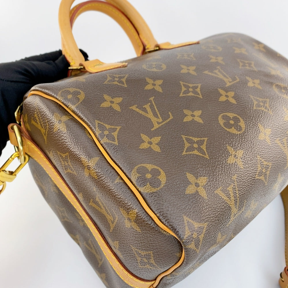 LV Speedy B25 Monogram