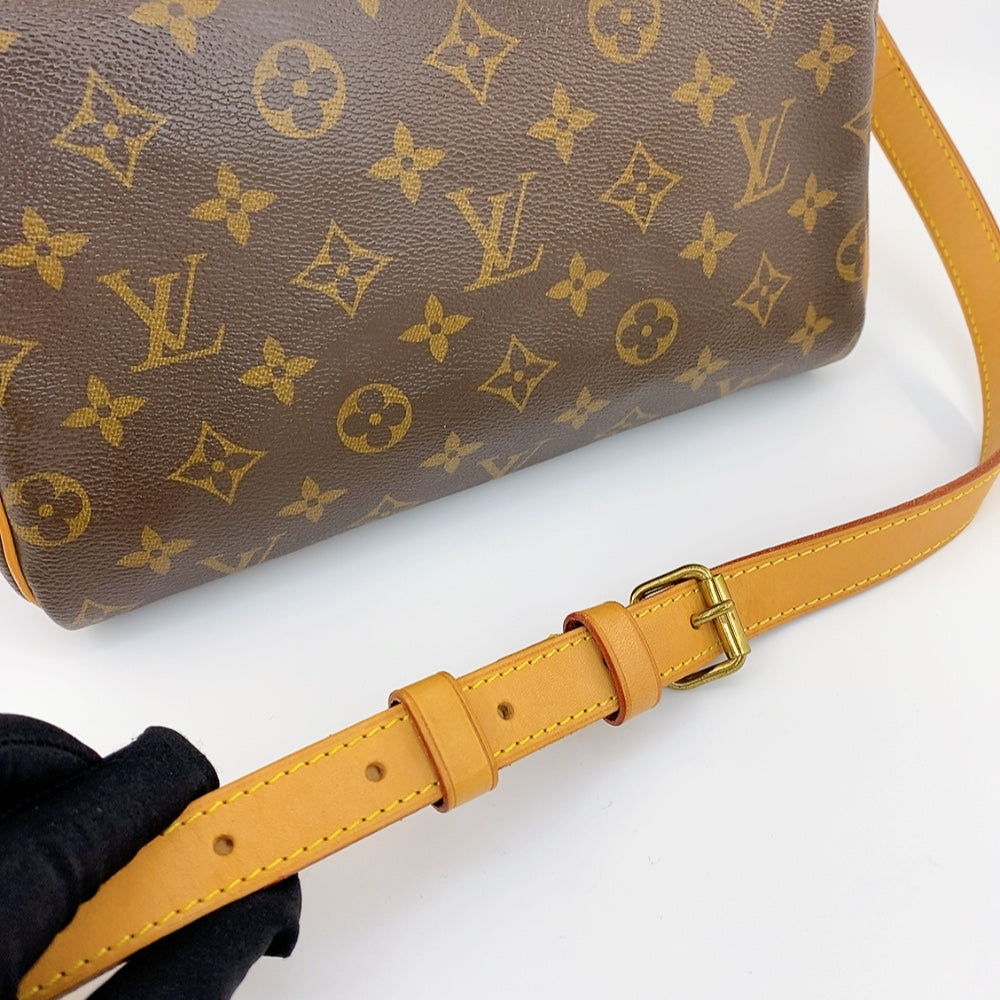 LV Speedy B25 Monogram