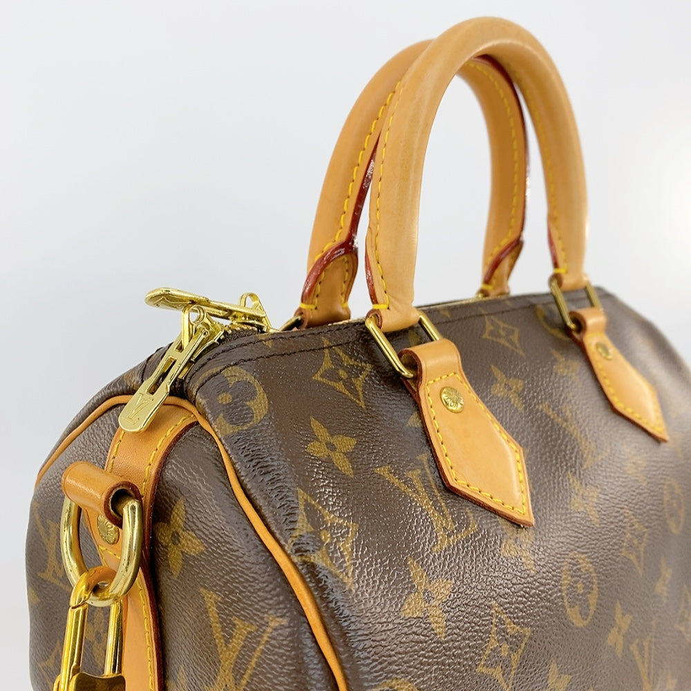 LV Speedy B25 Monogram