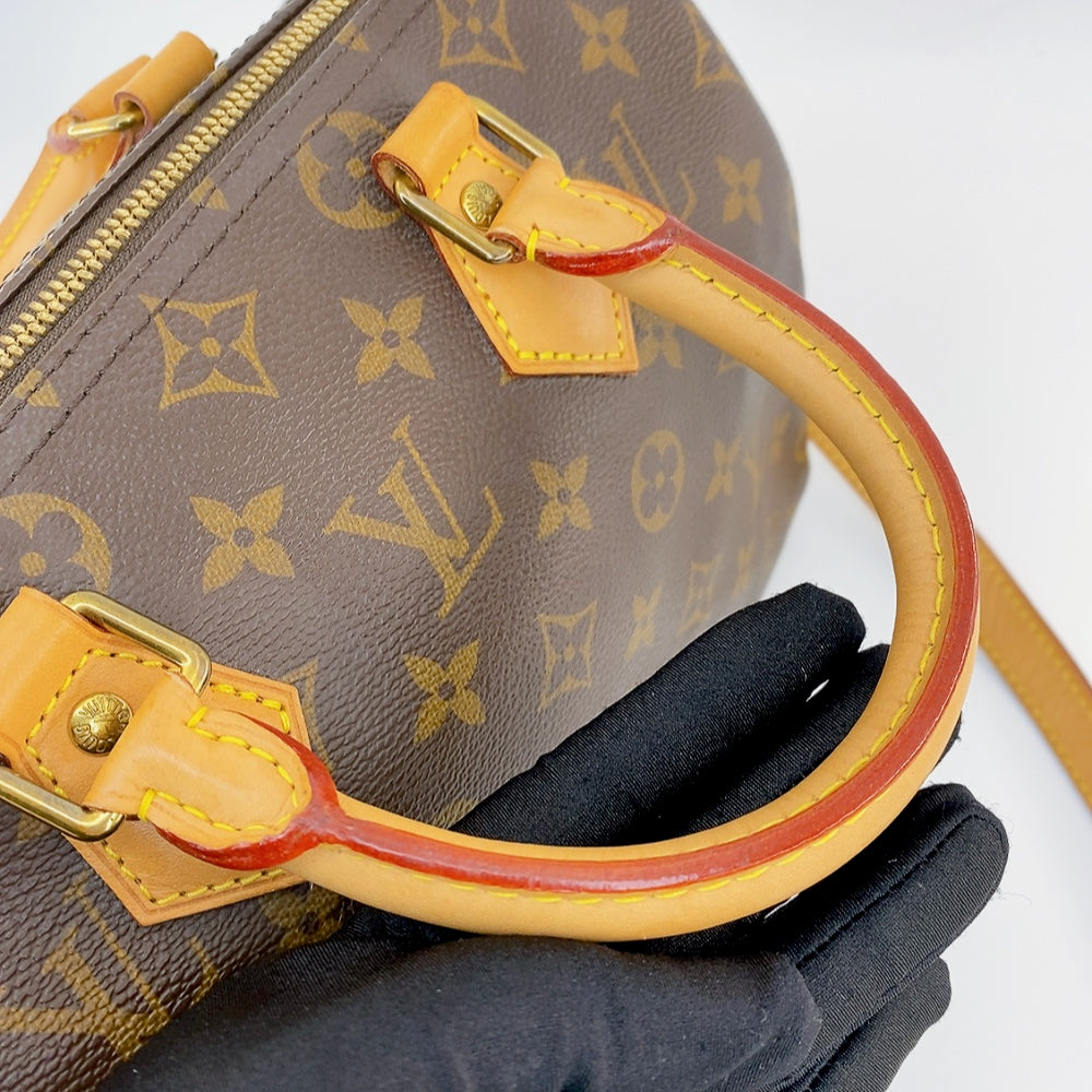 LV Speedy B25 Monogram