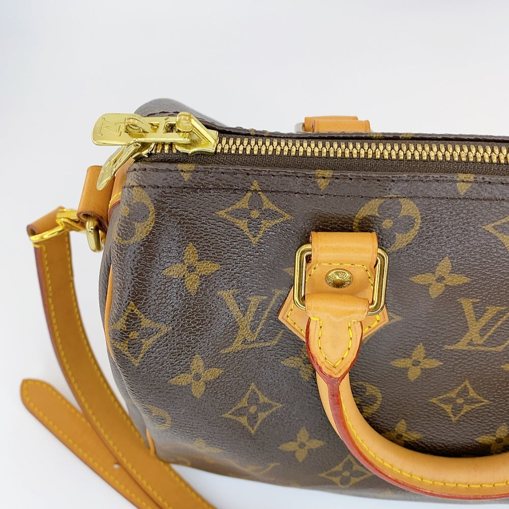 LV Speedy B25 Monogram