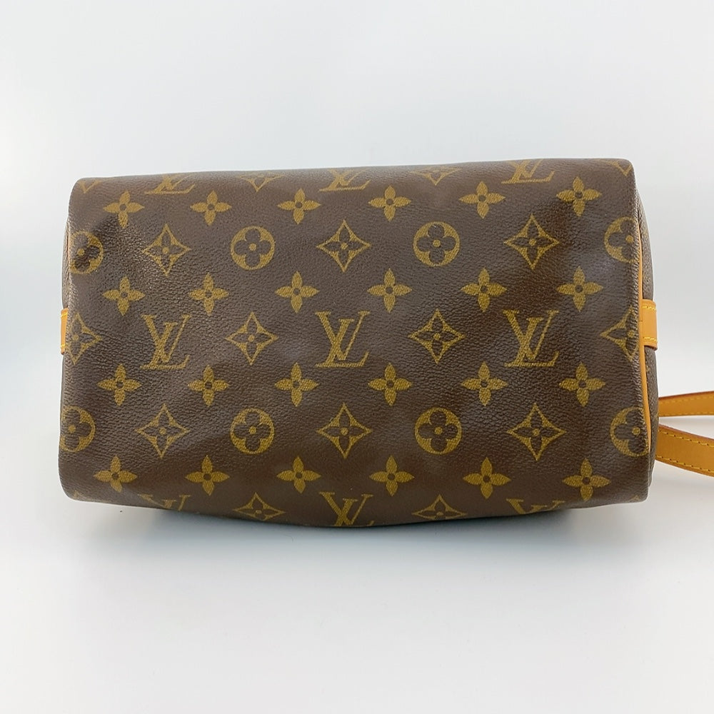 LV Speedy B25 Monogram