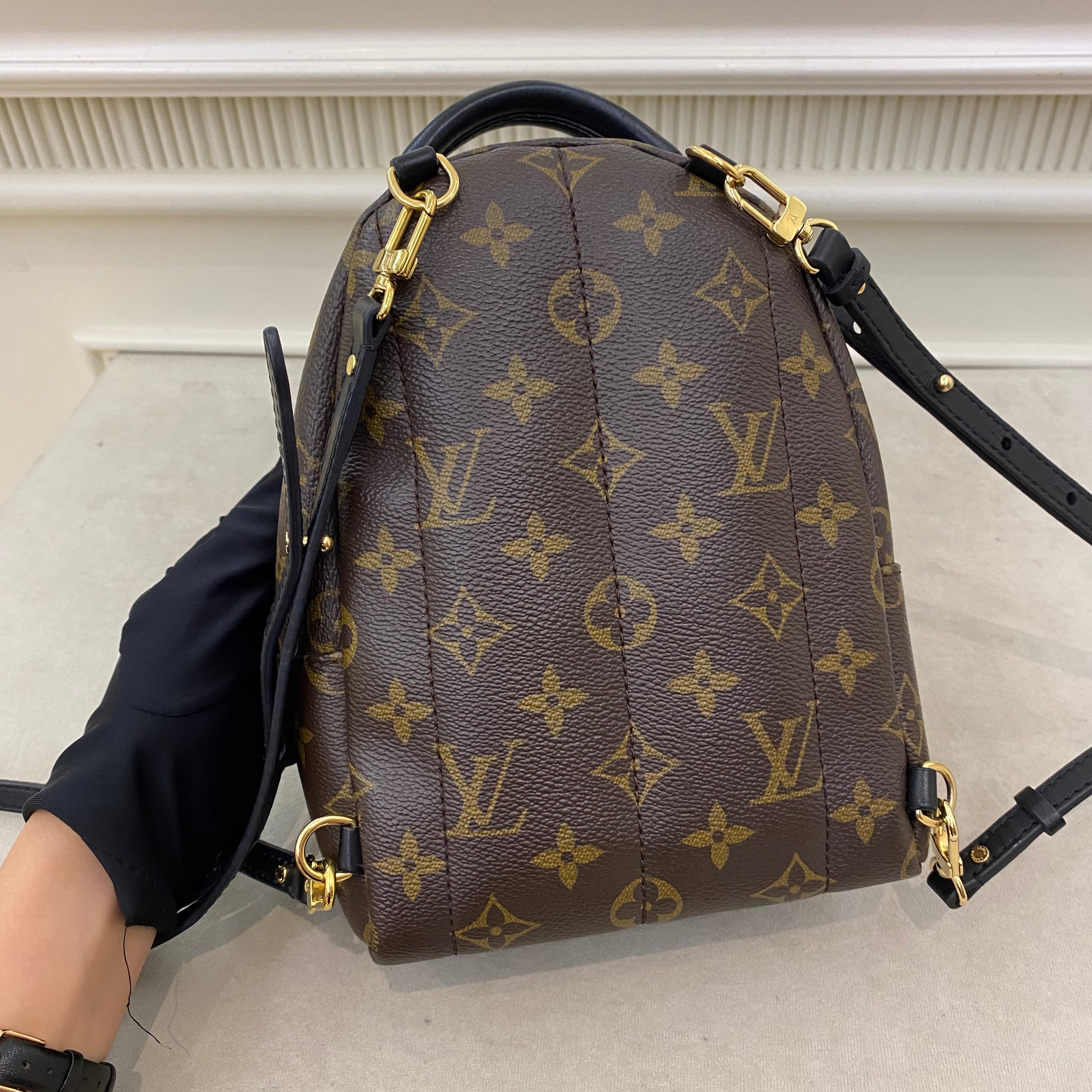 Lv Mini Palm Springs Backpack