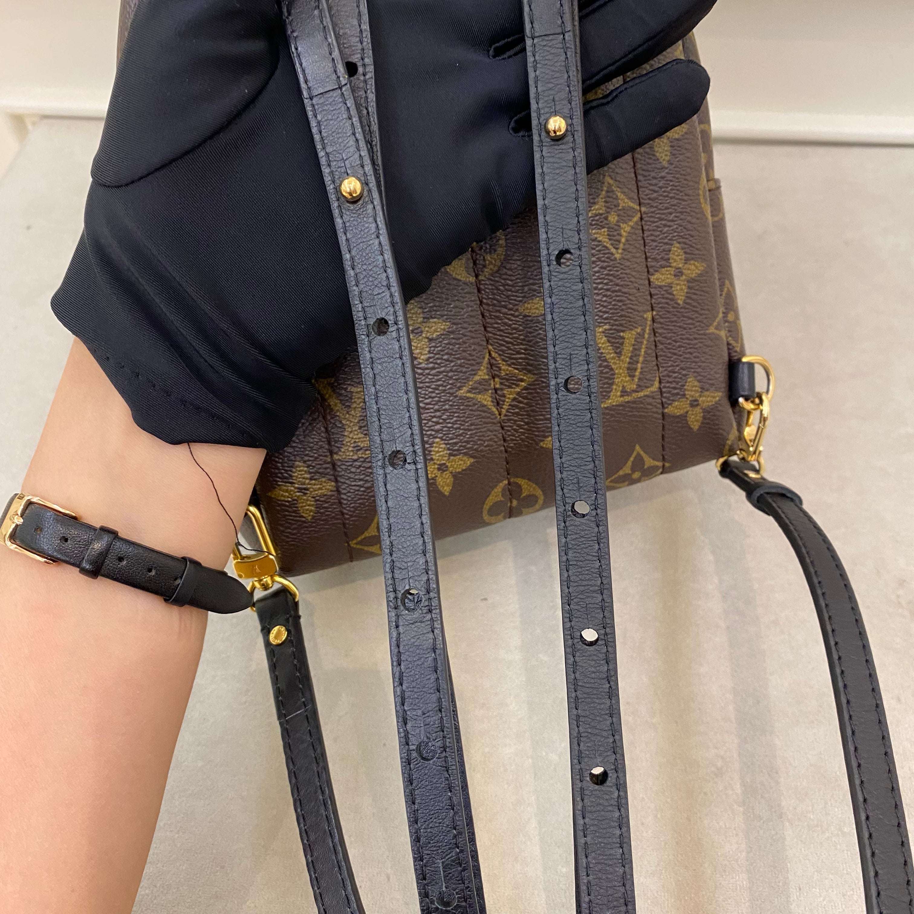 Lv Mini Palm Springs Backpack