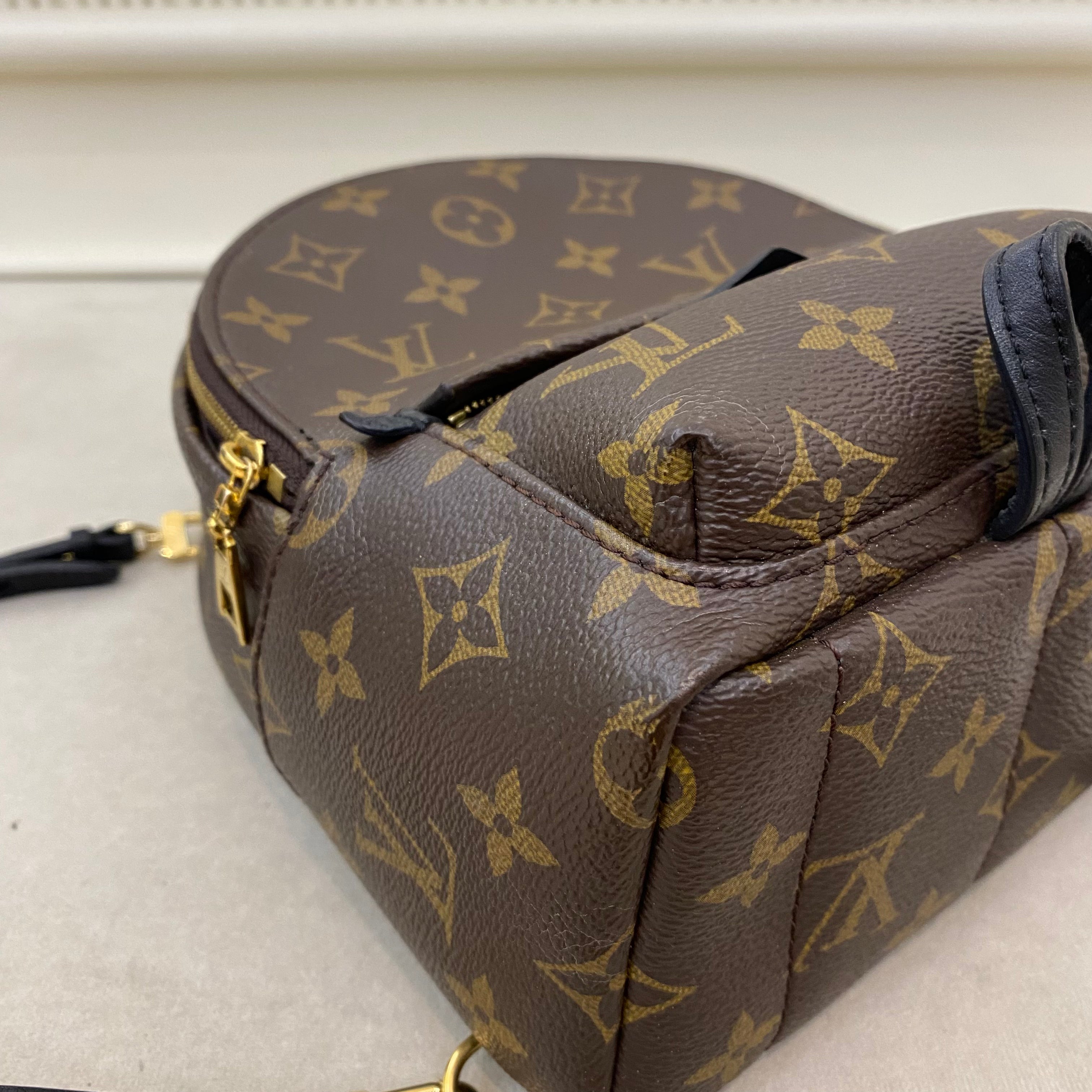 Lv Mini Palm Springs Backpack