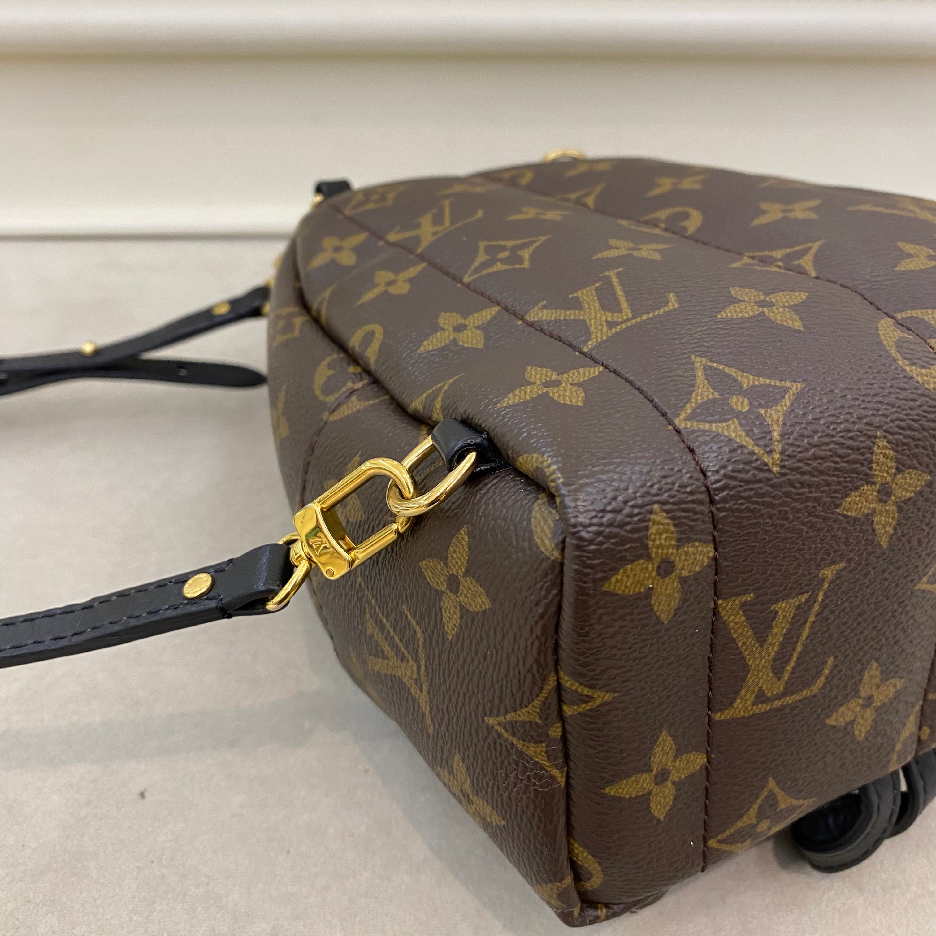 Lv Mini Palm Springs Backpack