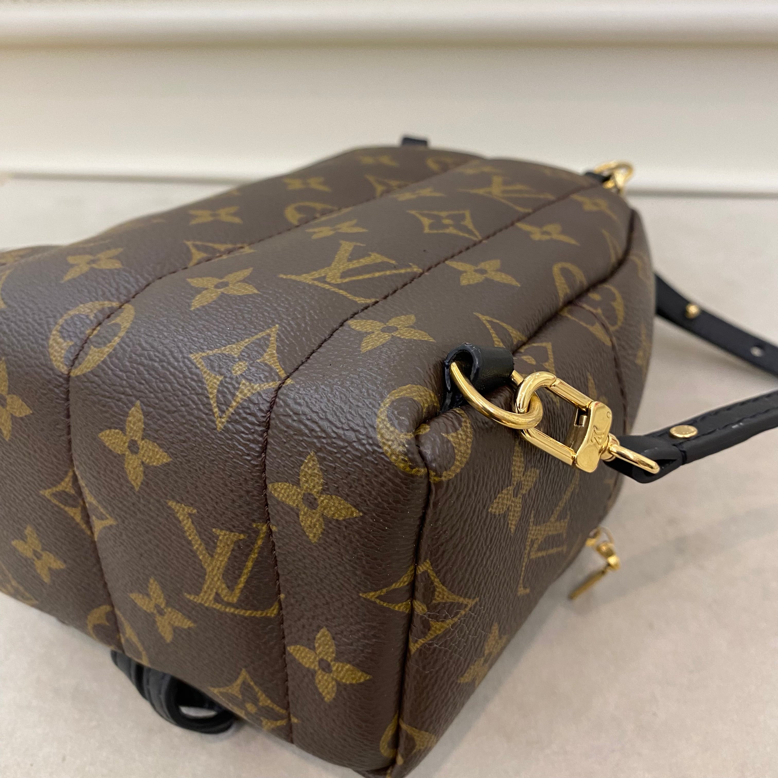 Lv Mini Palm Springs Backpack