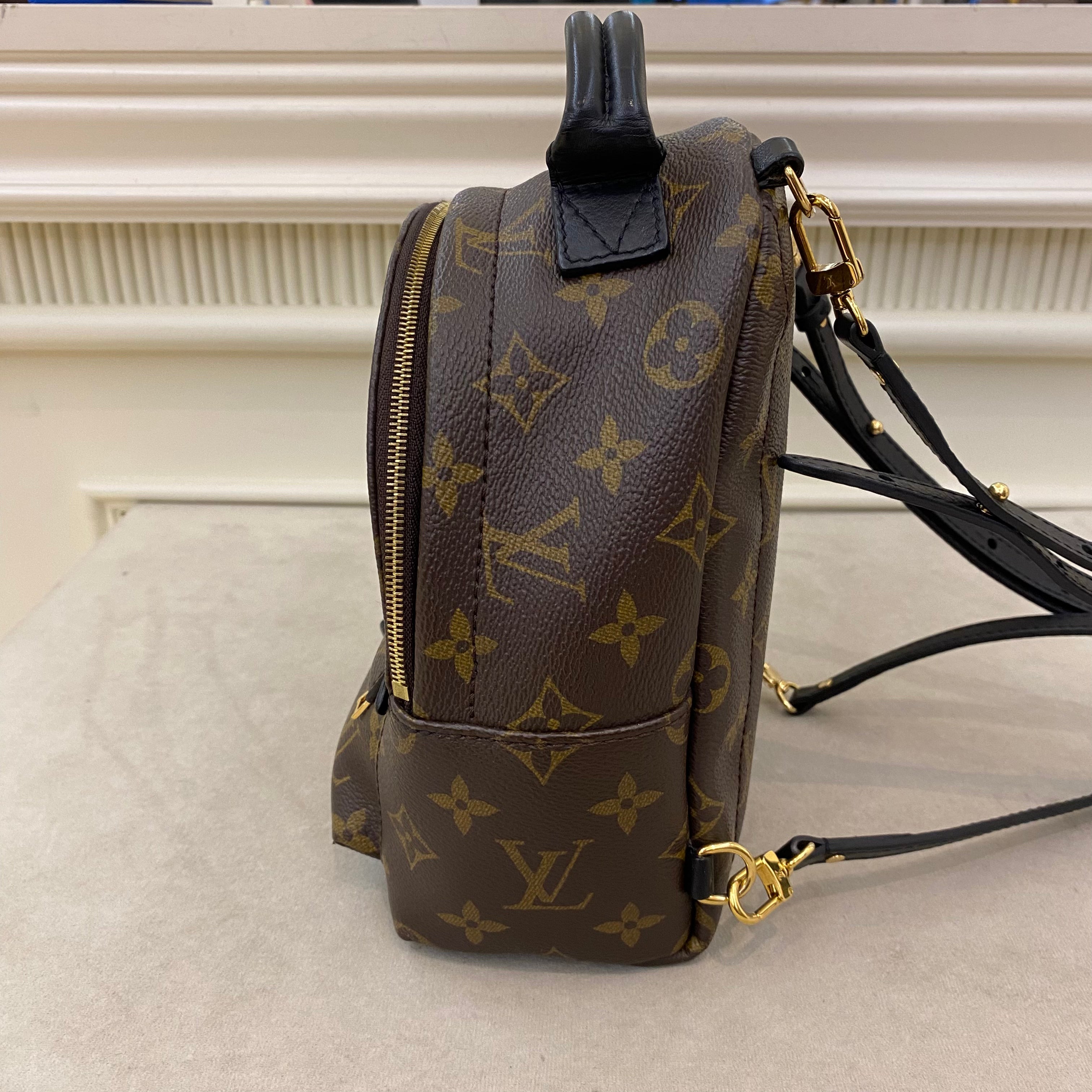 Lv Mini Palm Springs Backpack