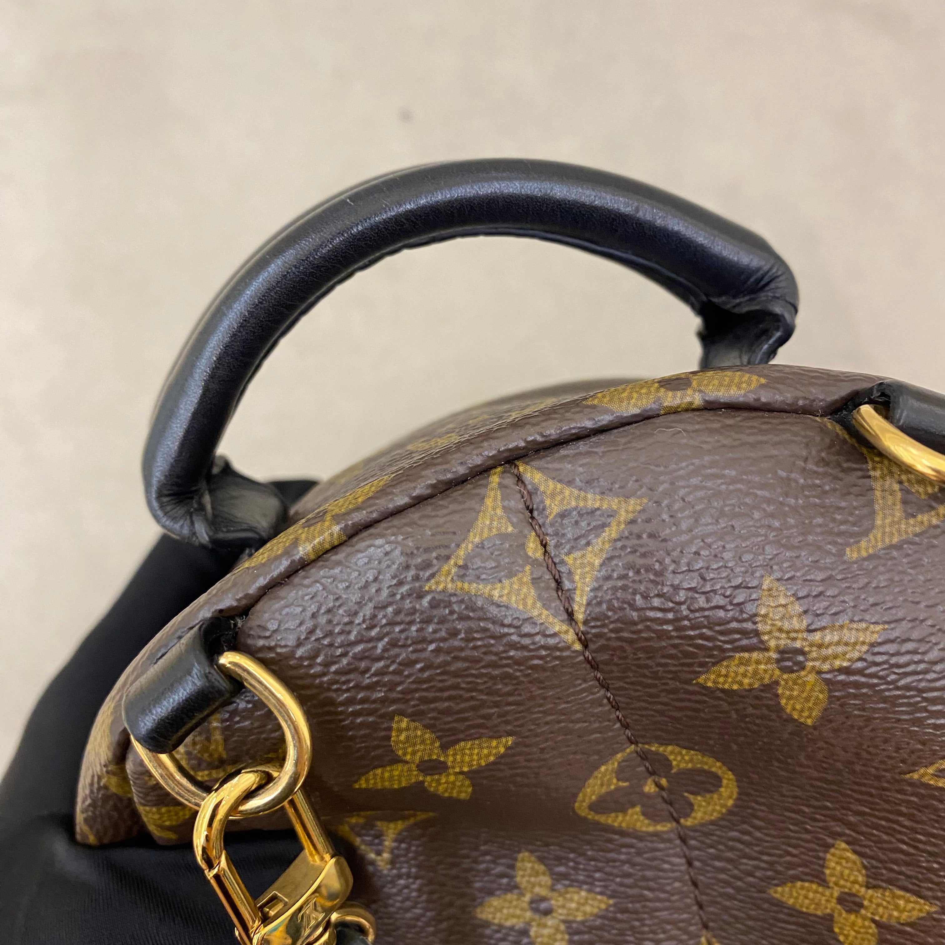 Lv Mini Palm Springs Backpack