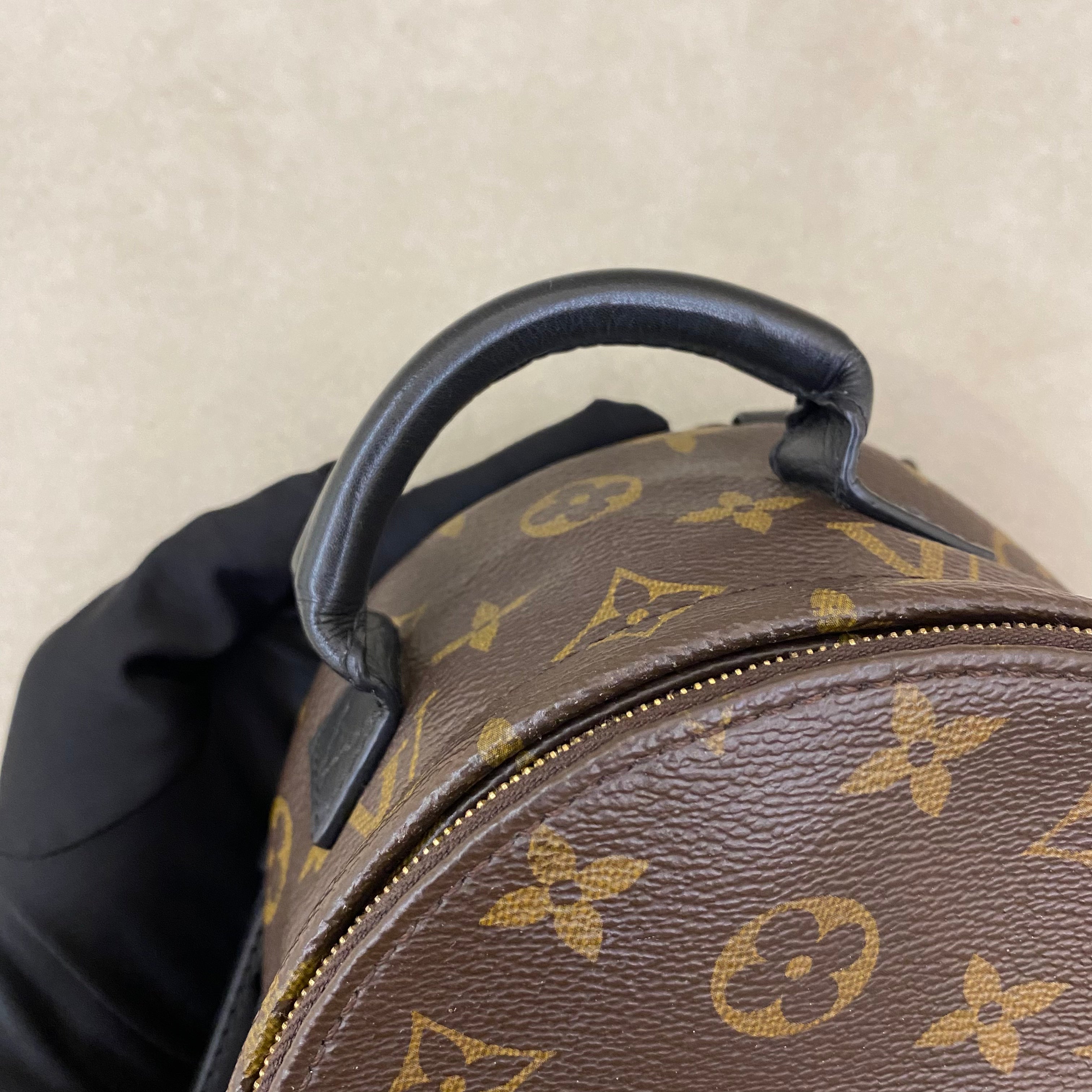 Lv Mini Palm Springs Backpack