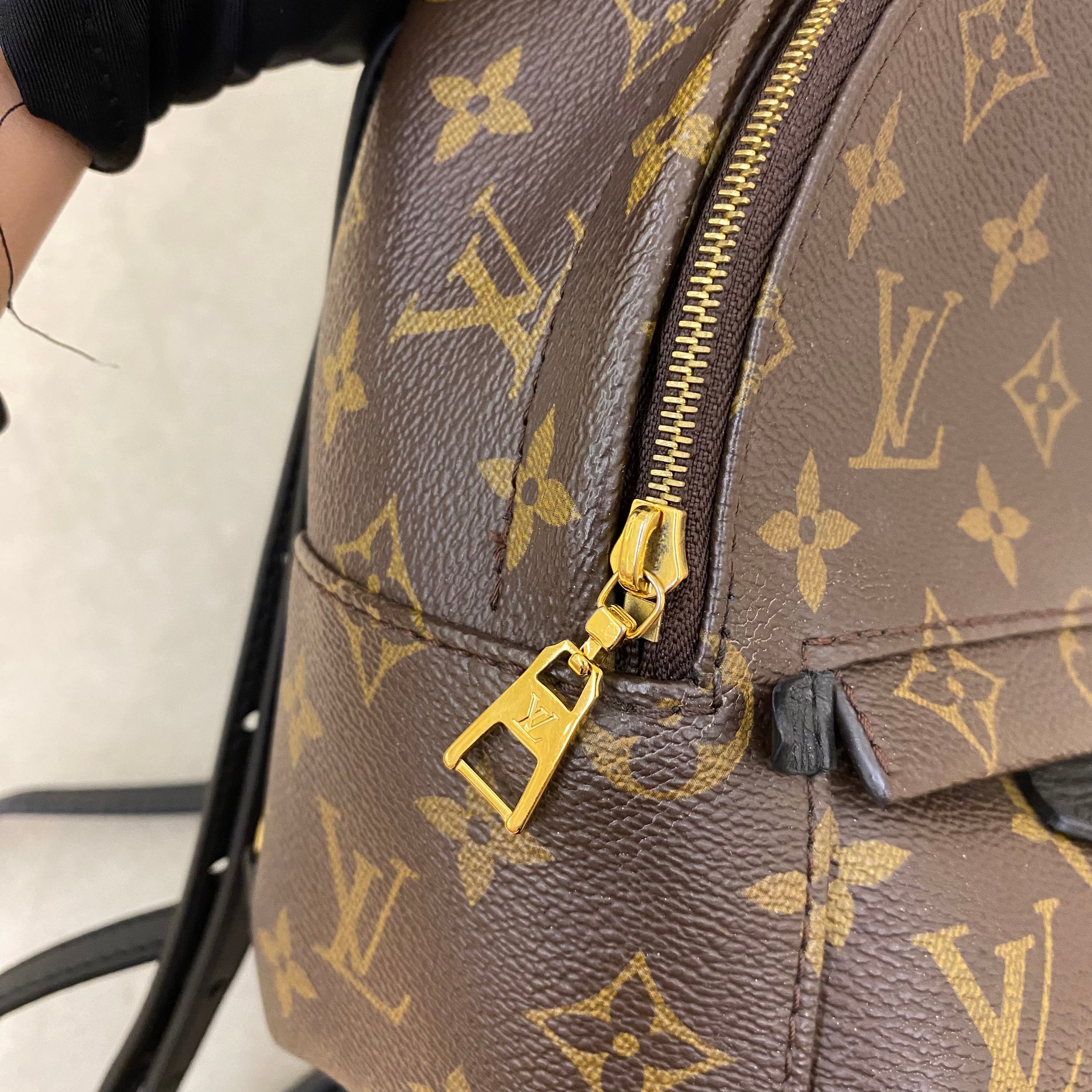 Lv Mini Palm Springs Backpack