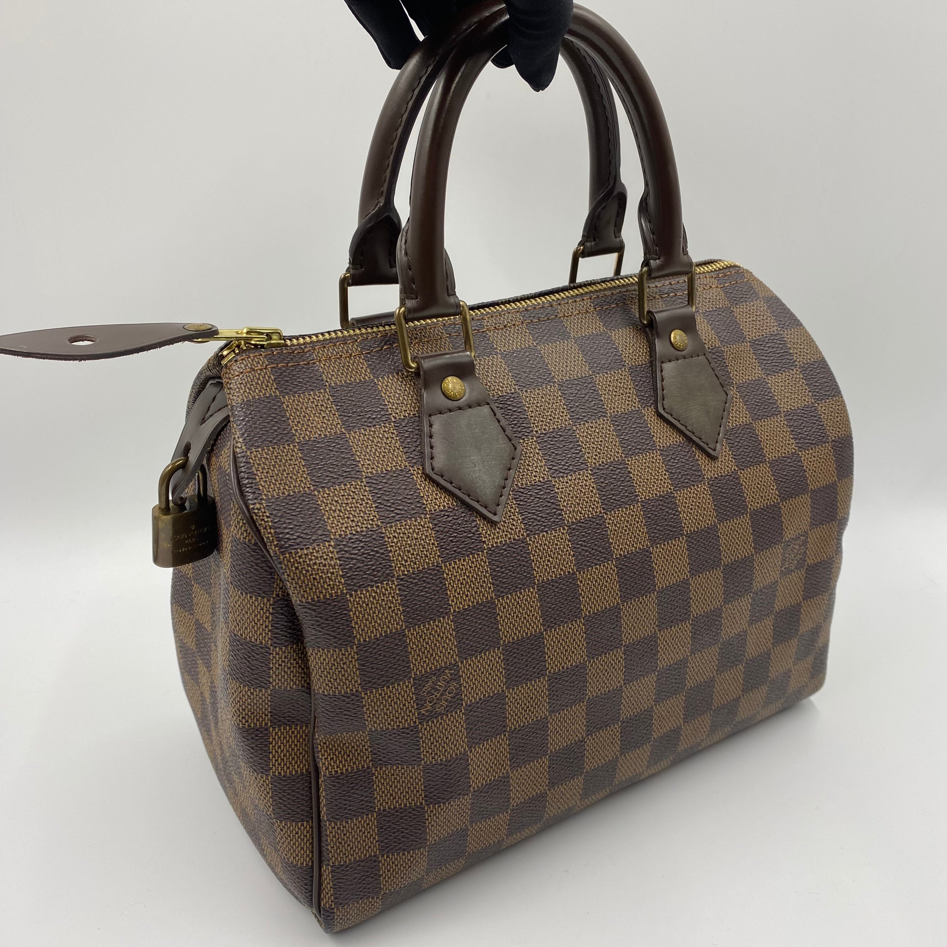 LV Speedy 25 Damier Ebene