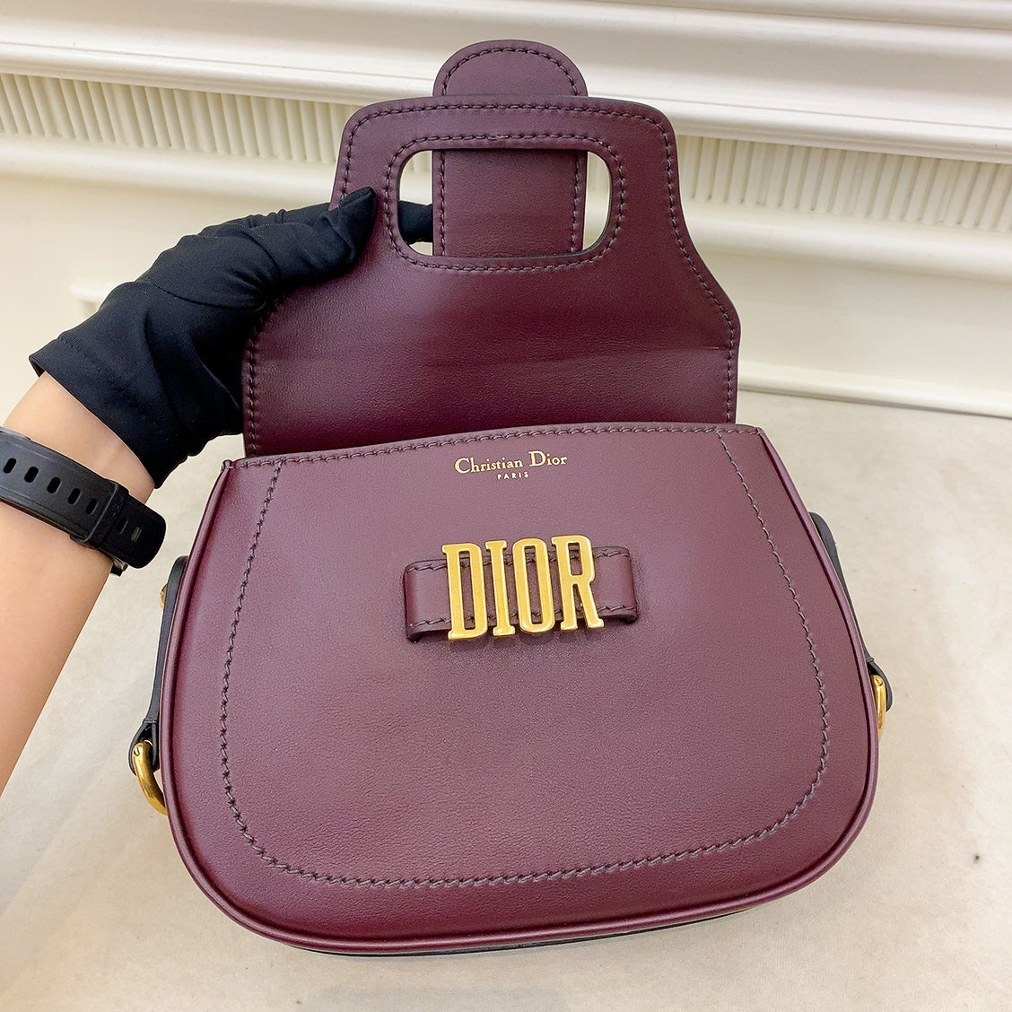 Dior D Fence Saddle Bag