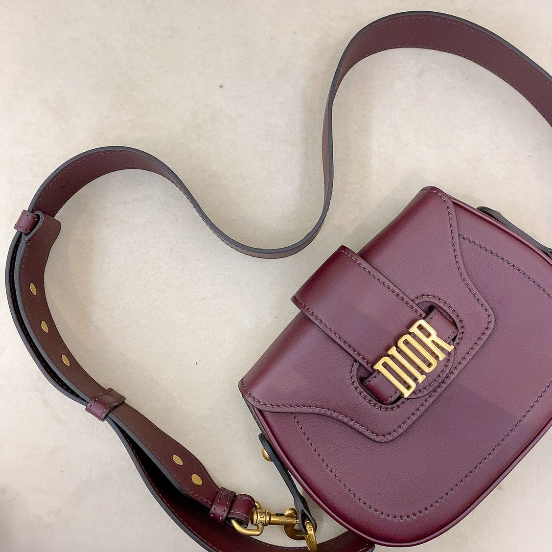 Dior D Fence Saddle Bag