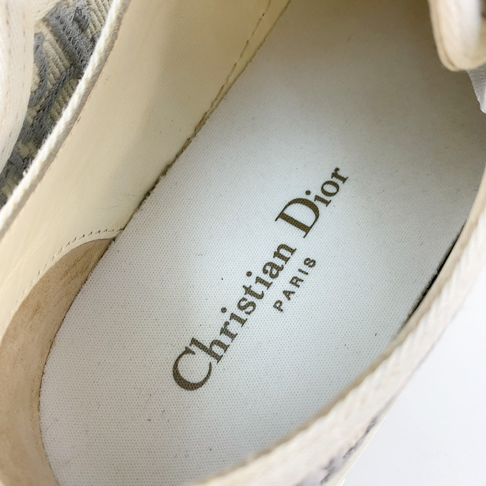 Walk'N Dior Sneakers