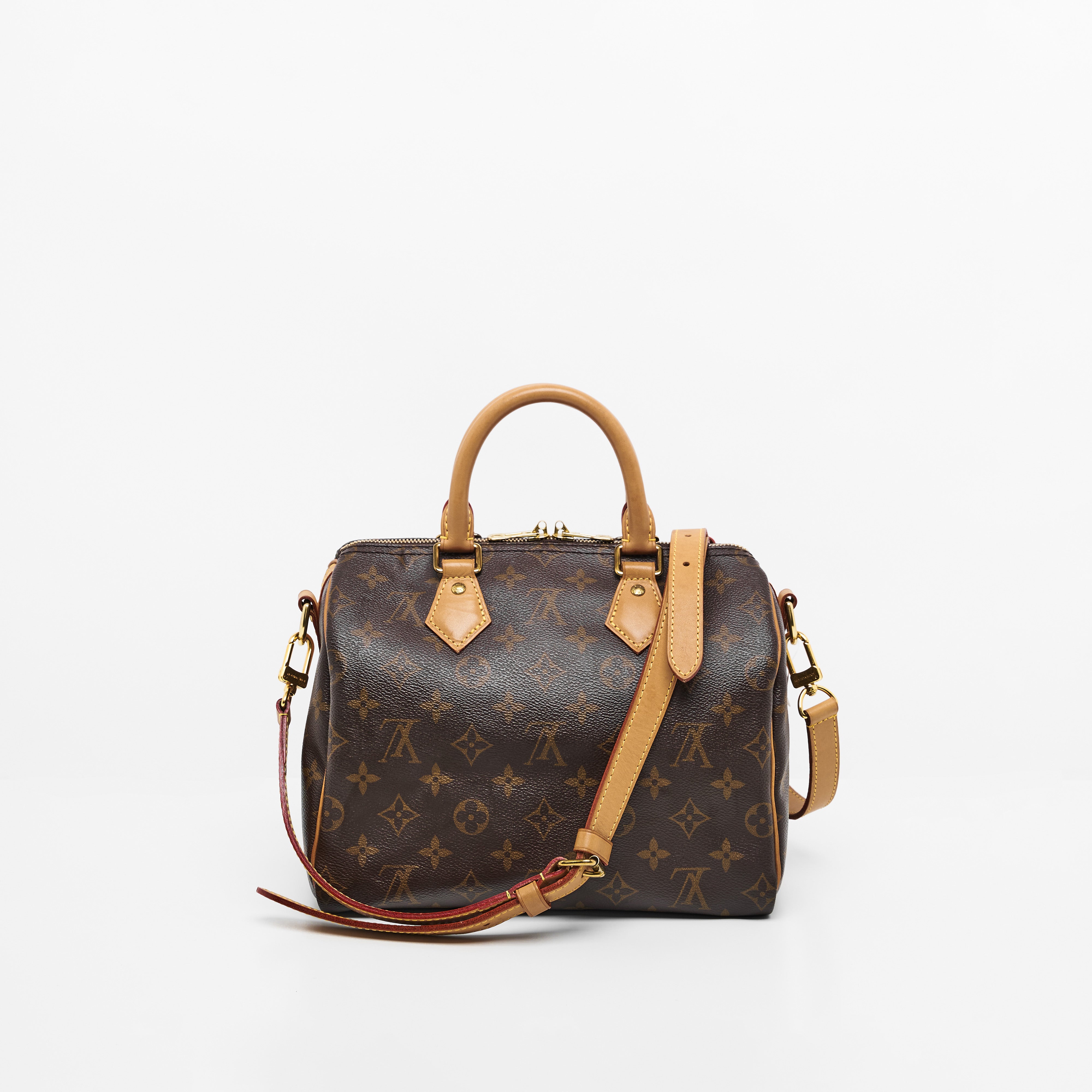 LV Speedy B25 Monogram