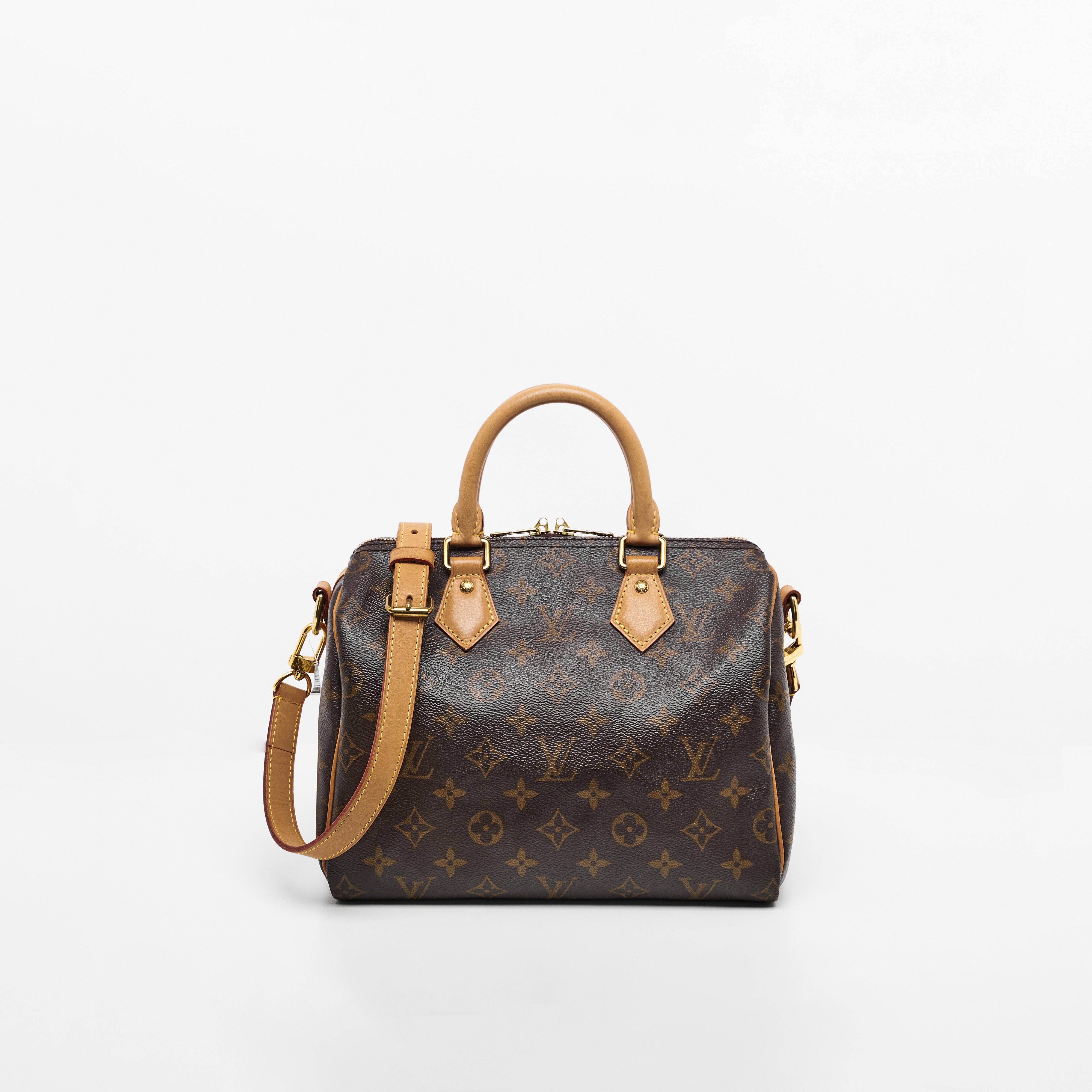 LV Speedy B25 Monogram