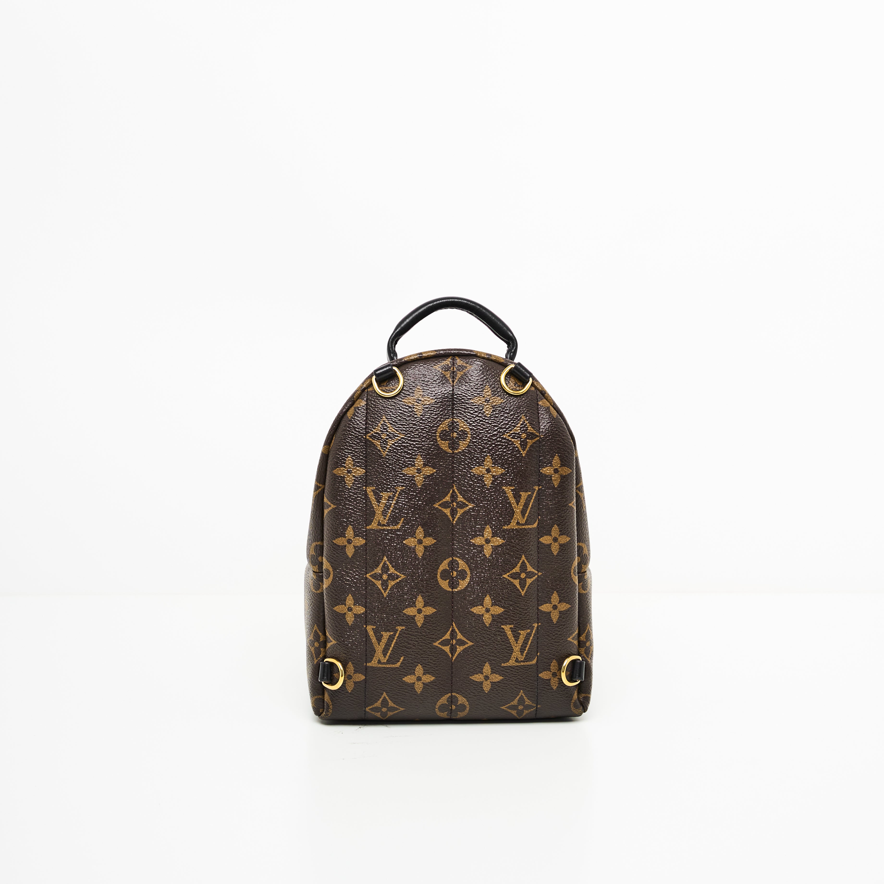 LV Mini Palm Spring Backpack