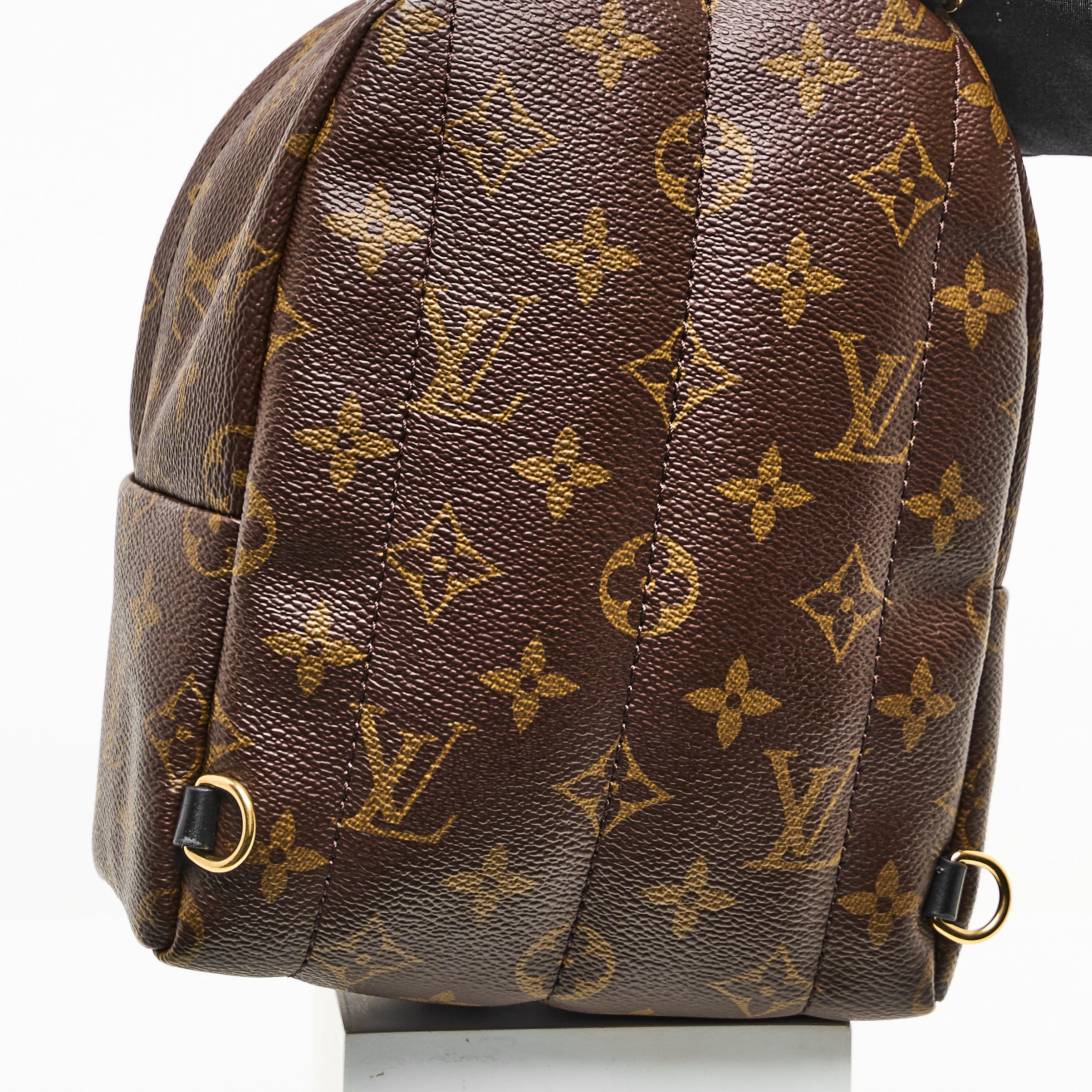 LV Mini Palm Springs Backpack