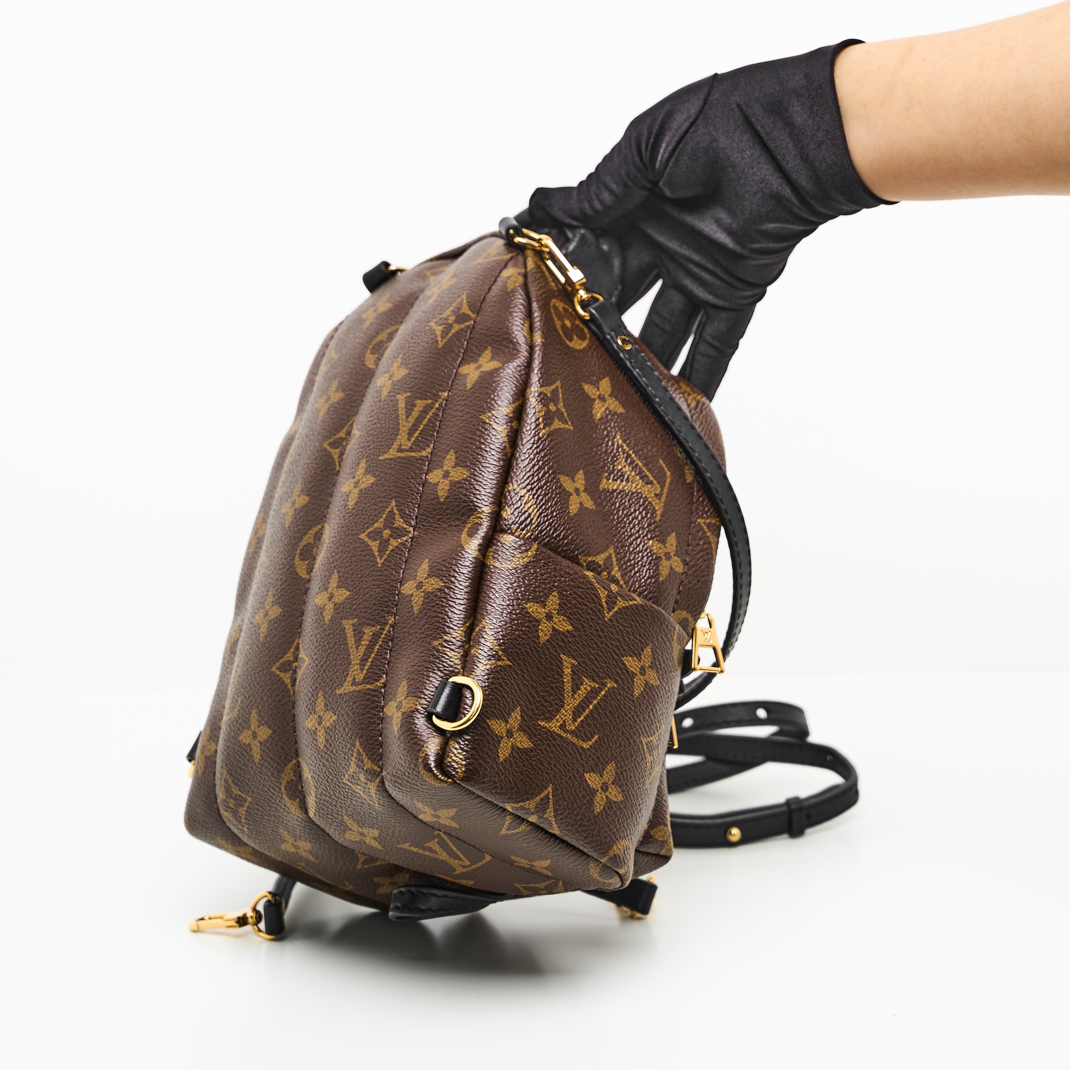 LV Mini Palm Springs Backpack