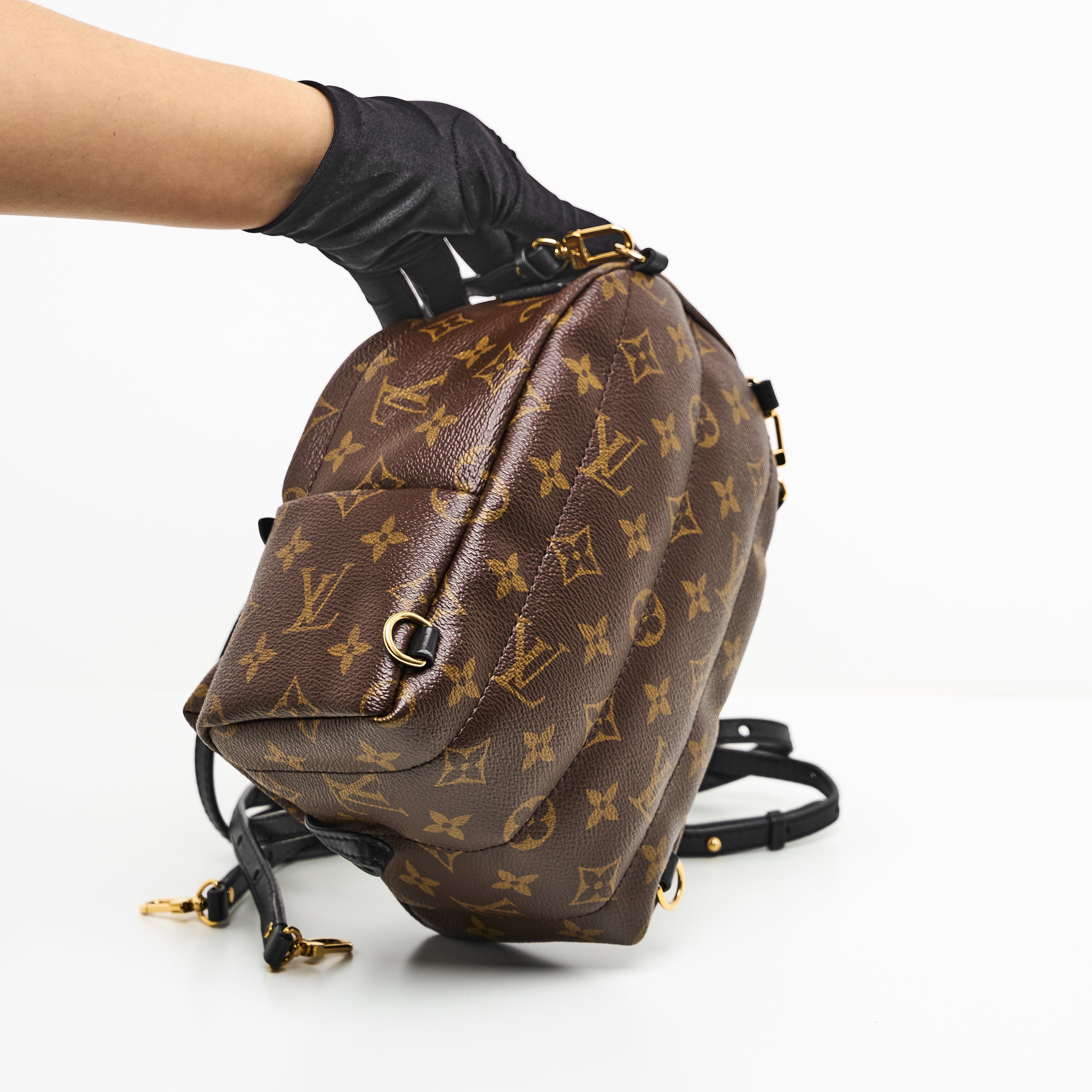 LV Mini Palm Springs Backpack