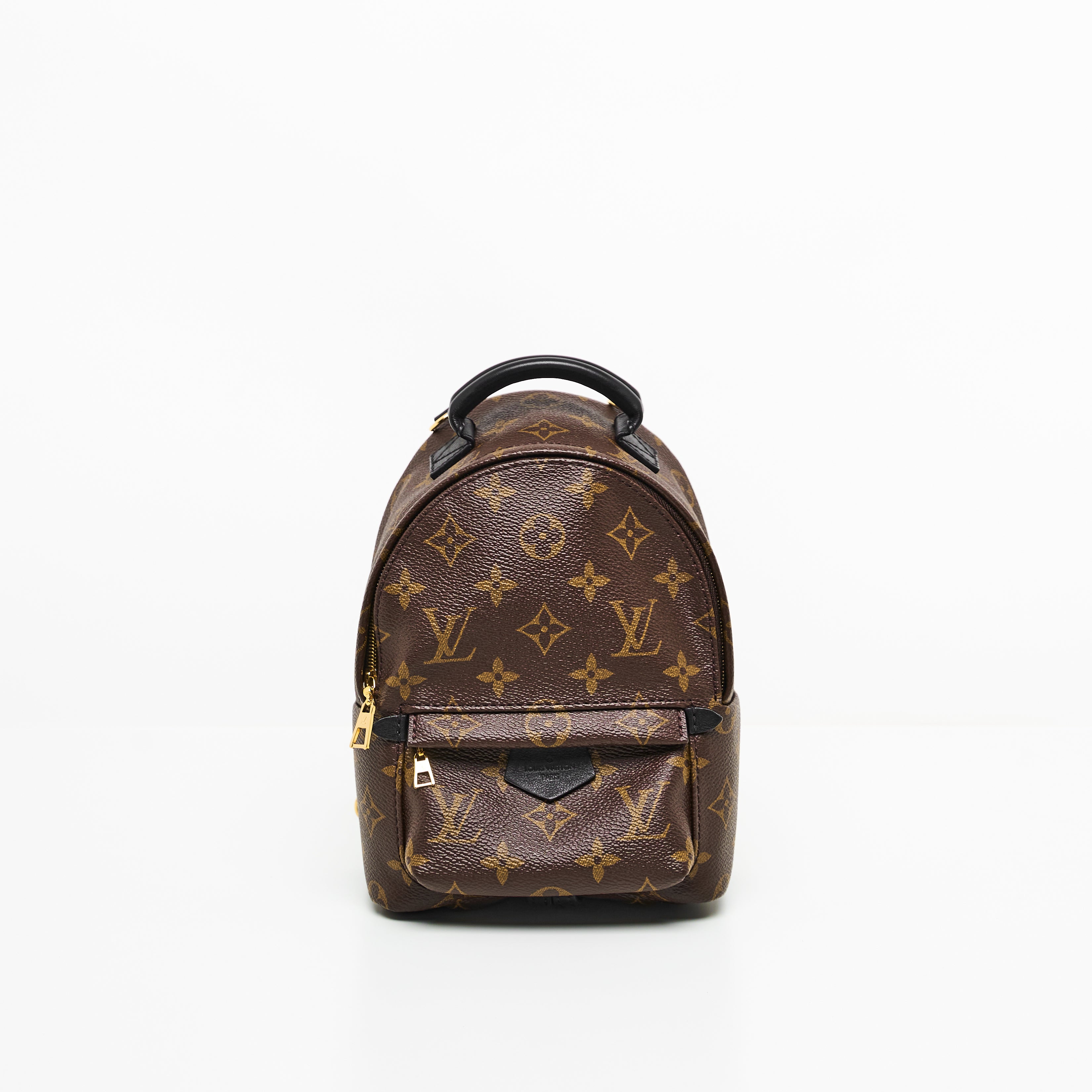 LV Mini Palm Springs Backpack