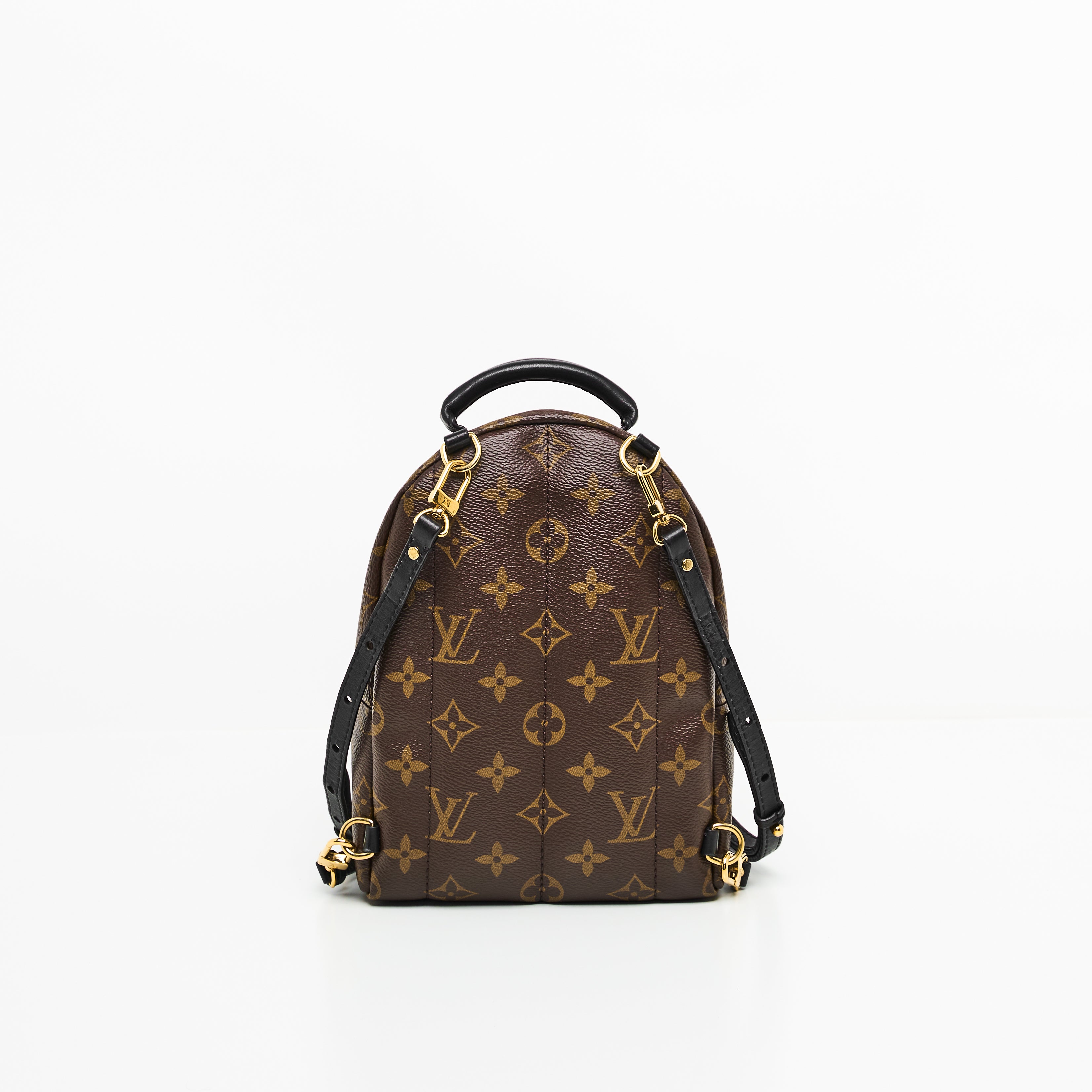 LV Mini Palm Springs Backpack