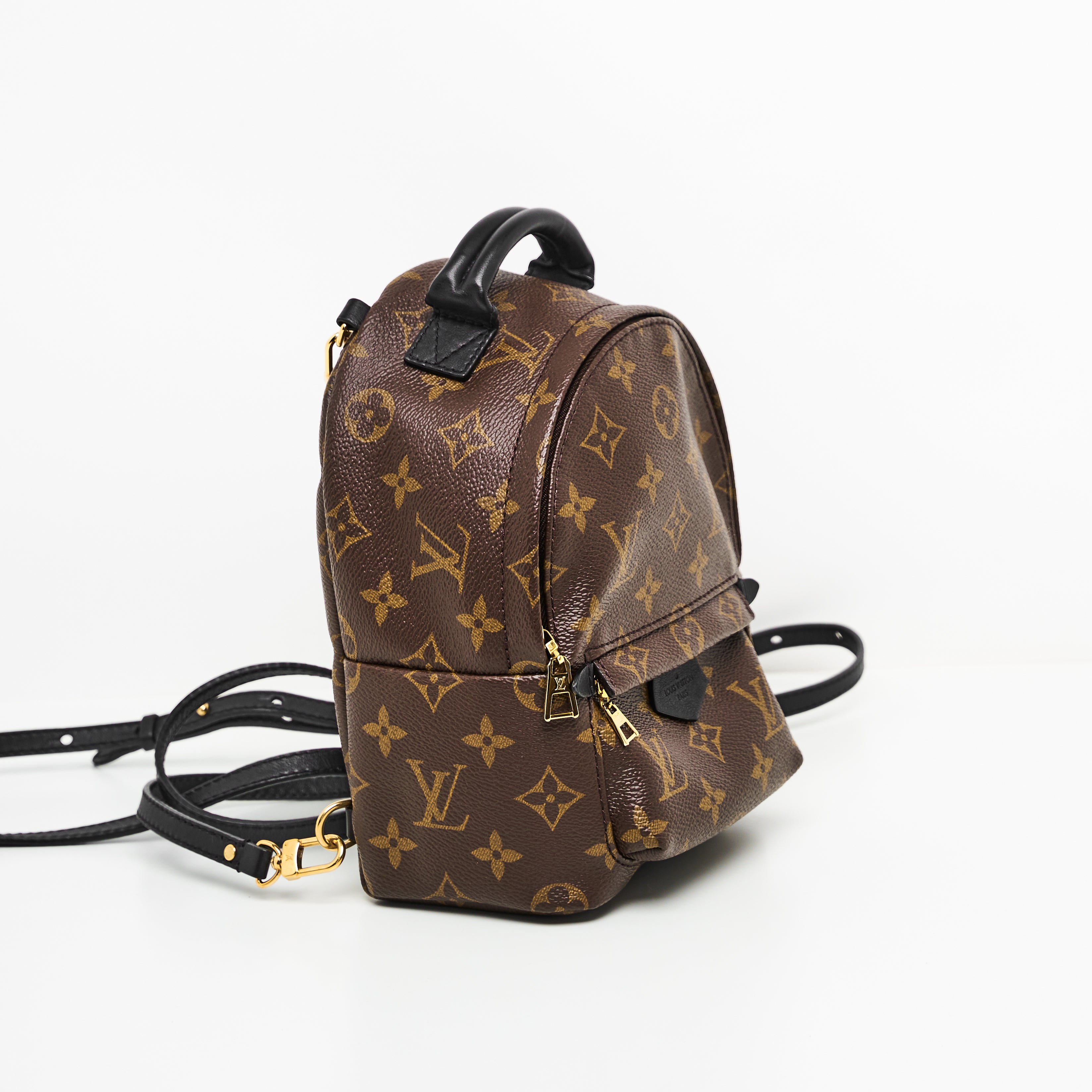 LV Mini Palm Springs Backpack