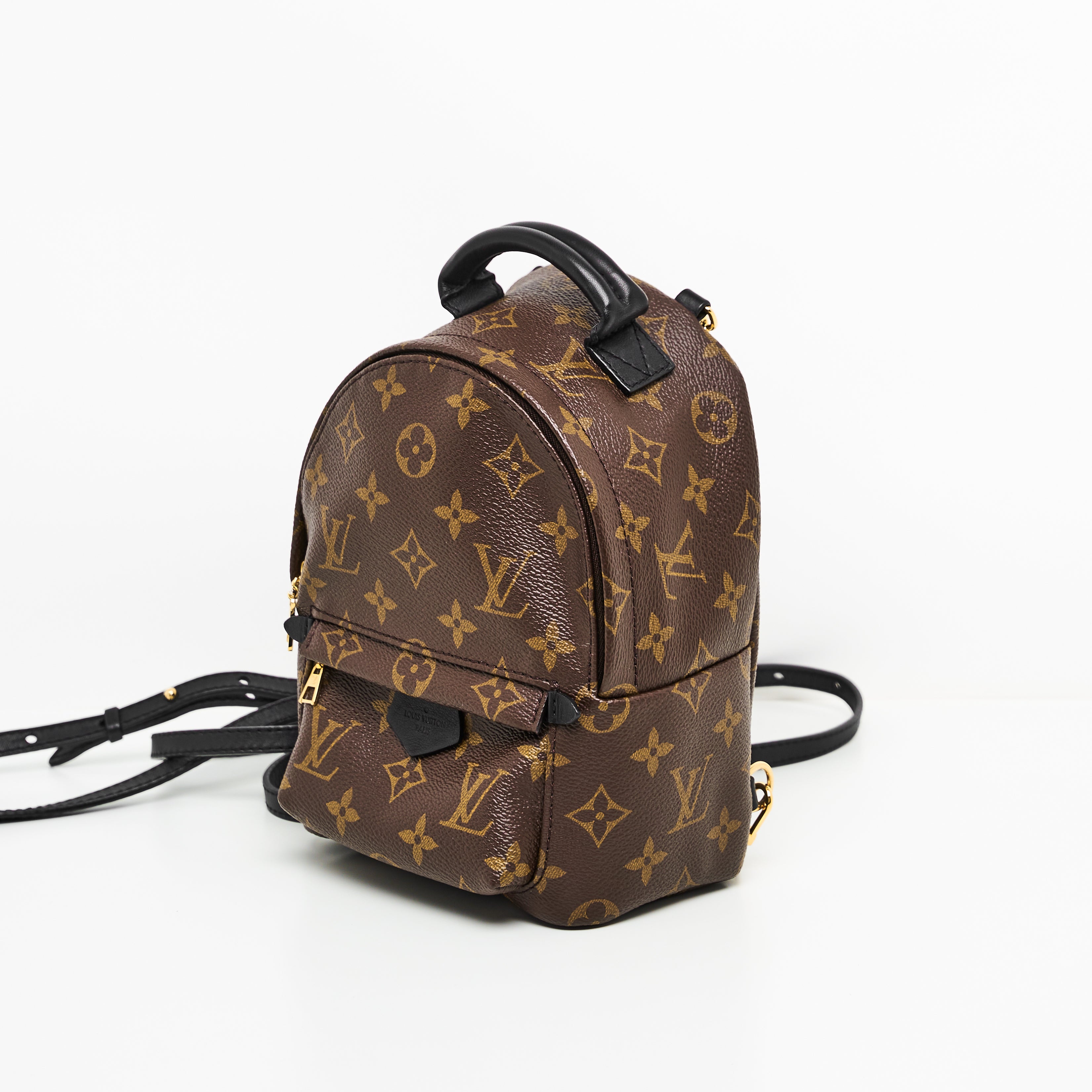 LV Mini Palm Springs Backpack