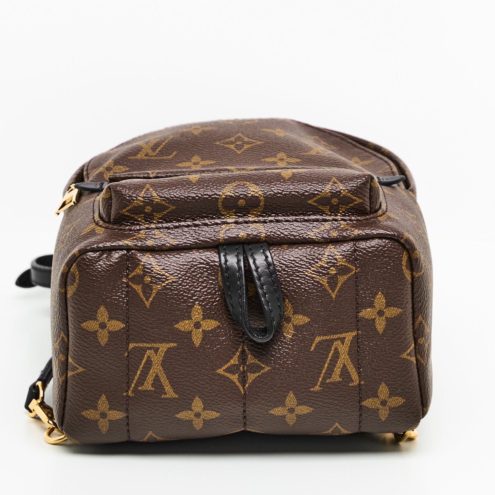 LV Mini Palm Springs Backpack