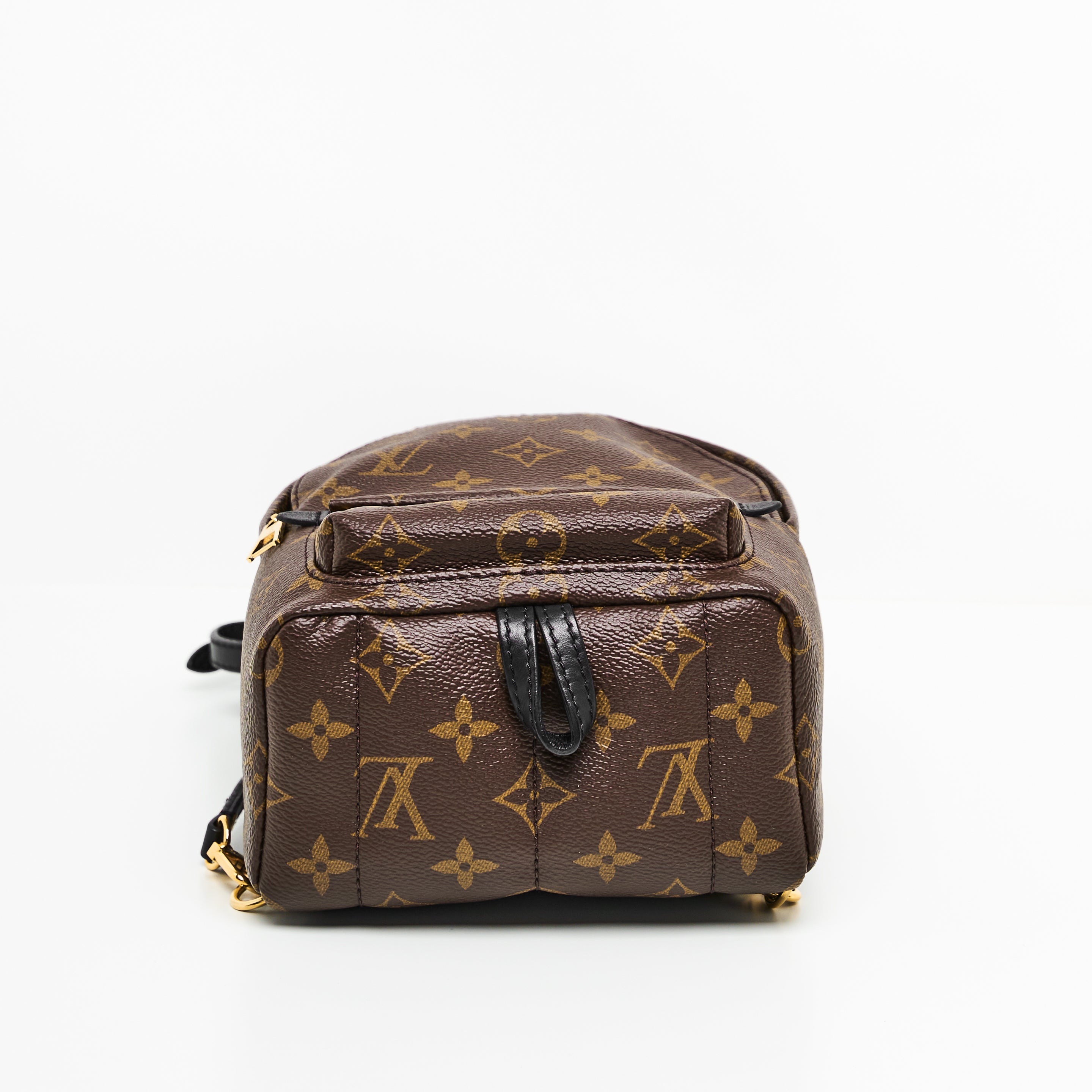 LV Mini Palm Springs Backpack